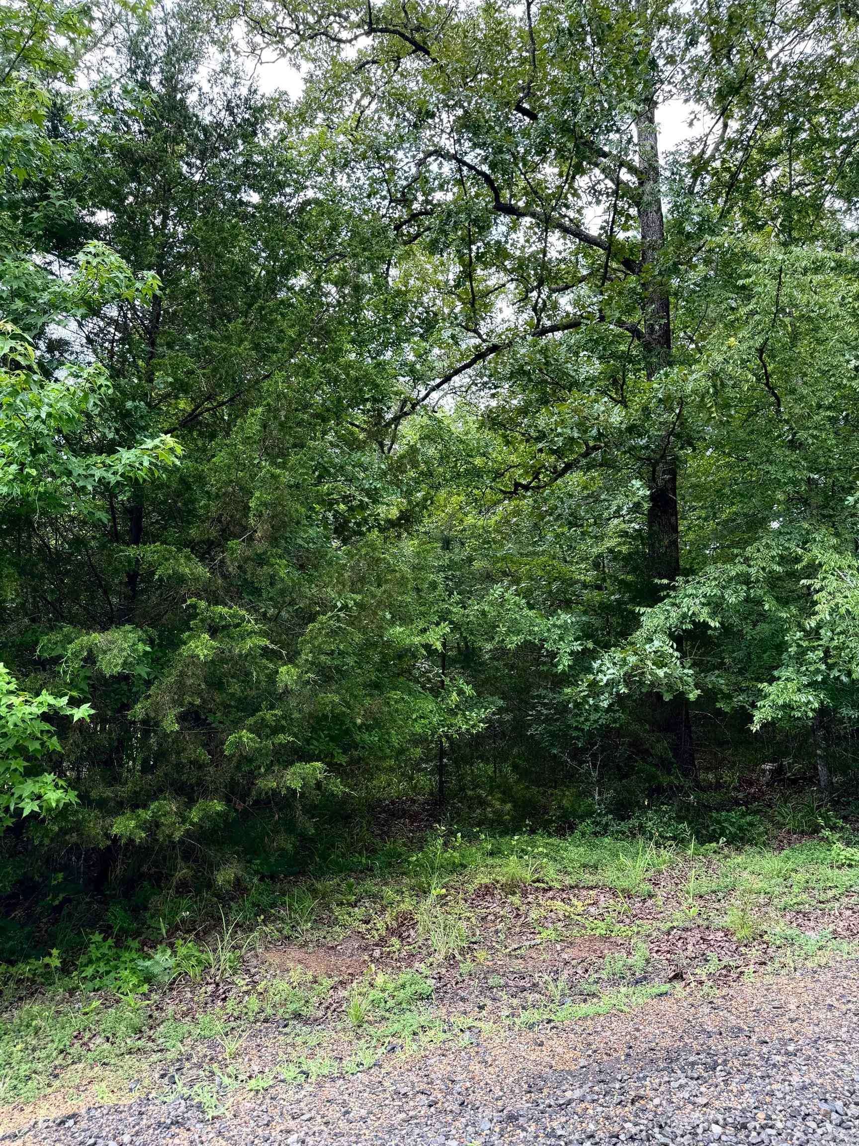 Heber Springs, AR 72543,Address not disclosed
