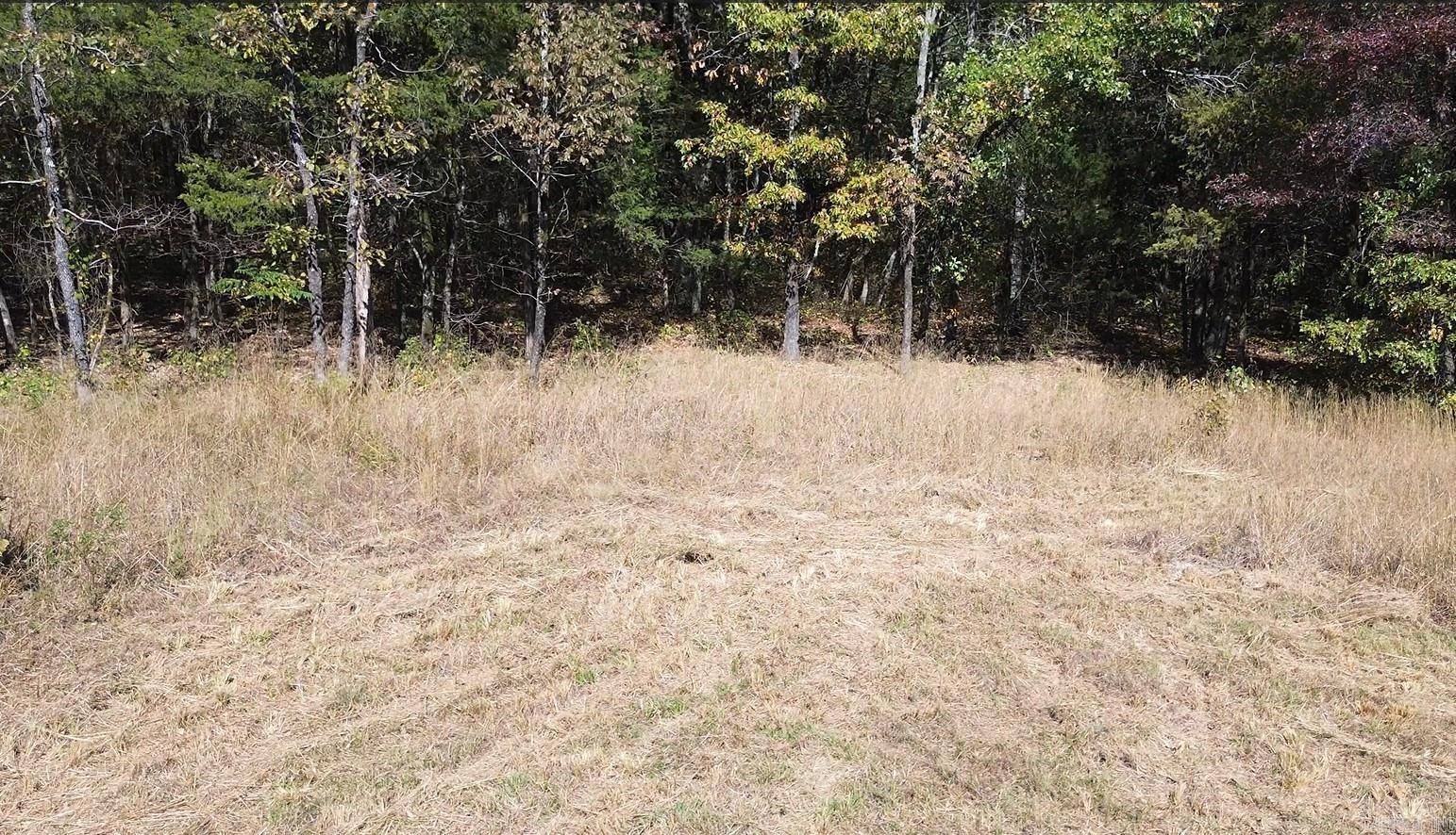 Quitman, AR 72131,28B Ashberry Ln