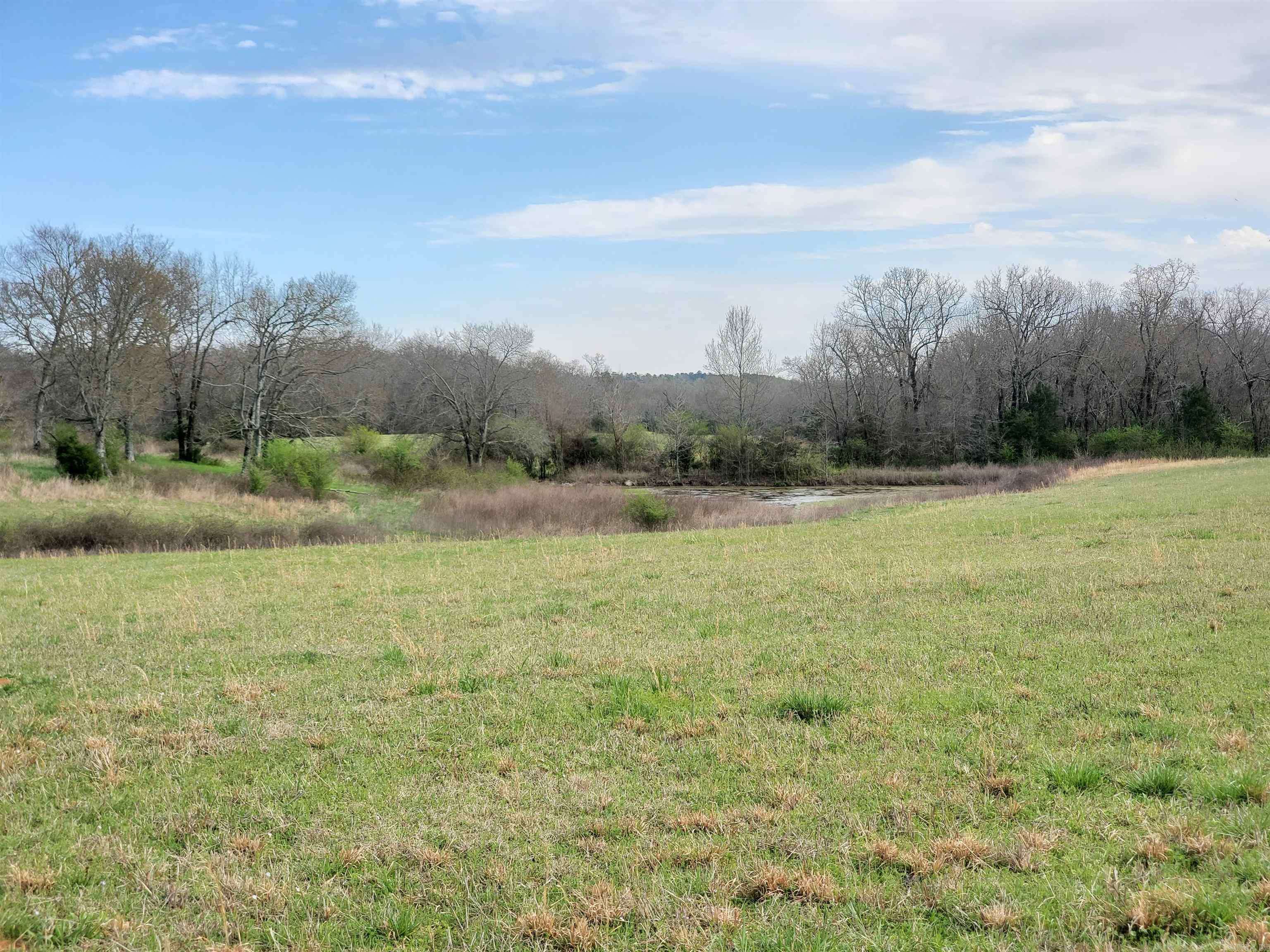 Pencil Bluff, AR 71965,820 Blow Out Mtn. Road