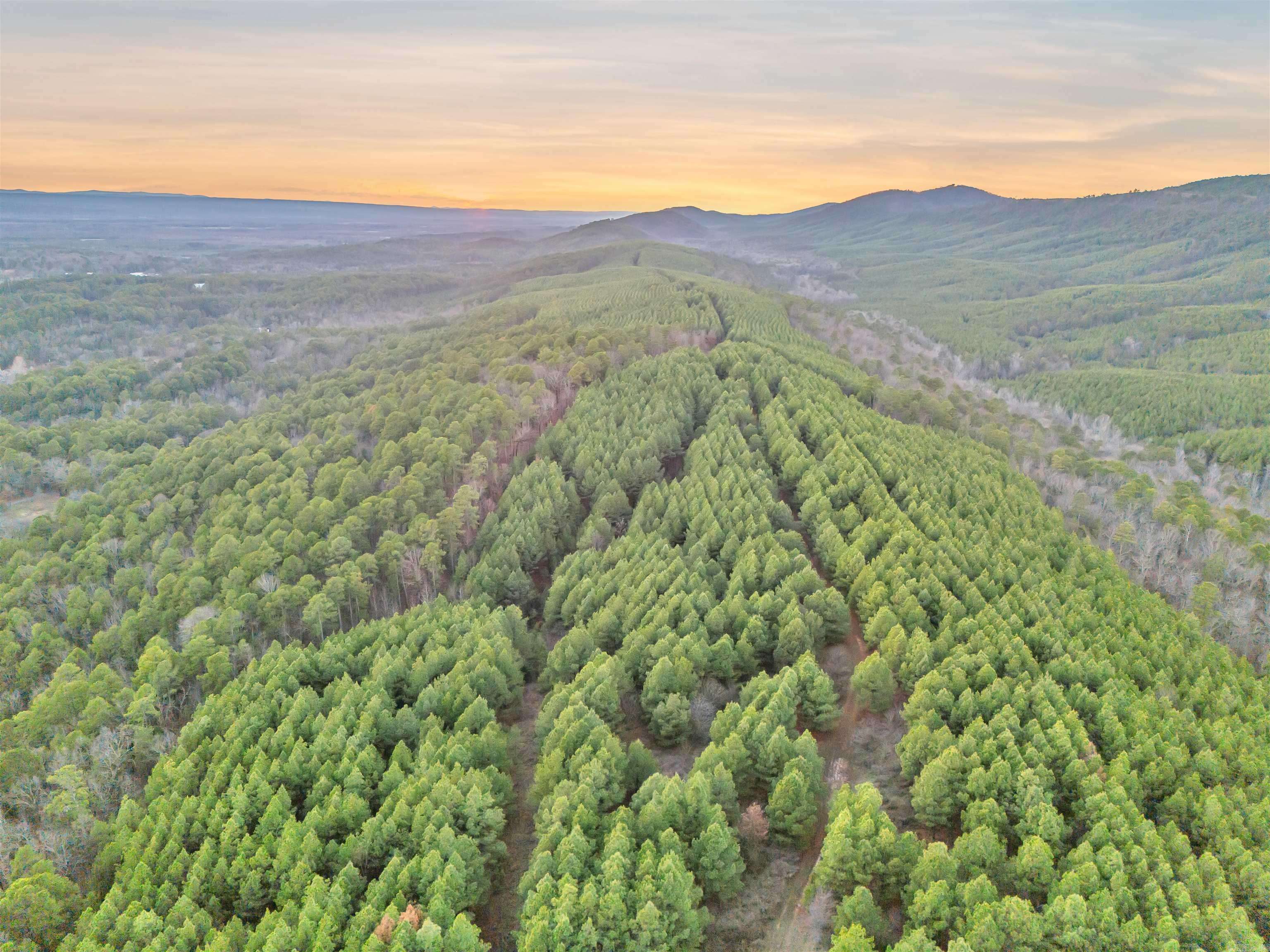 Perryville, AR 72126,15.48 Acres N Hill Street