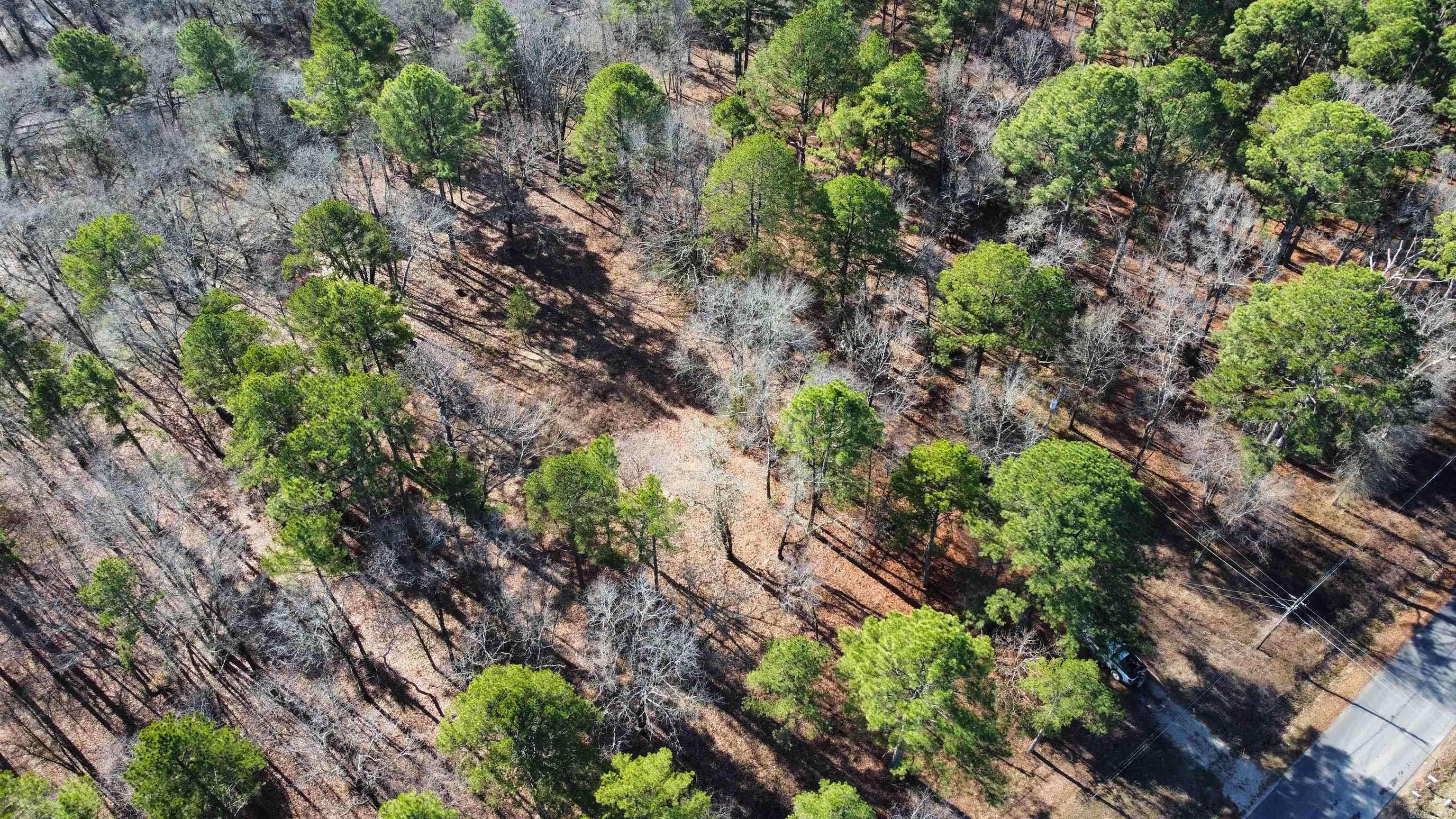 Hot Springs, AR 71913,707 Blacksnake Road
