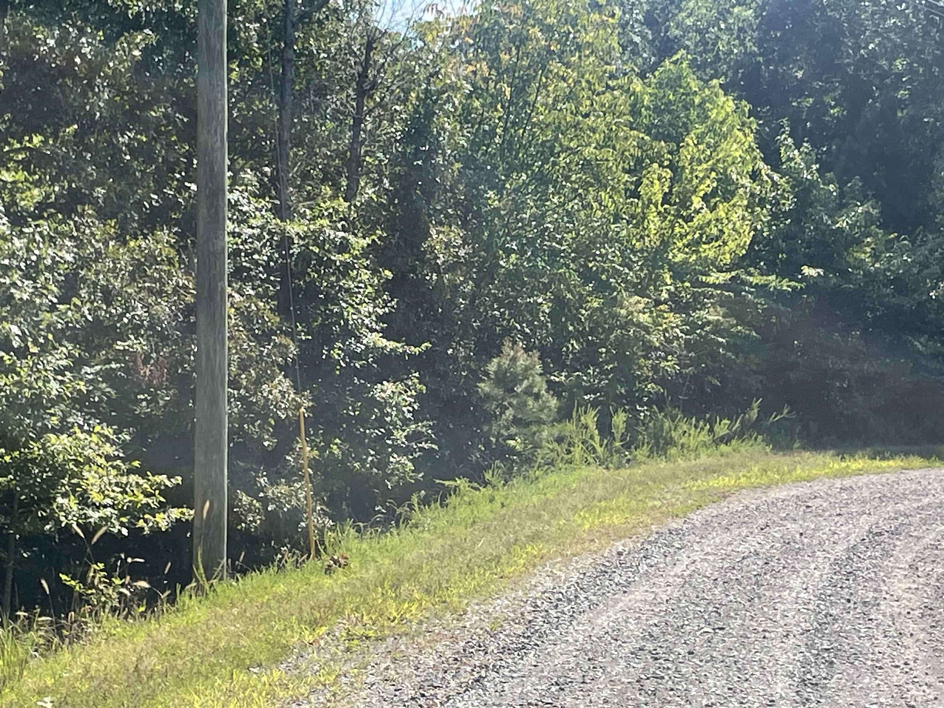 Edgemont, AR 72044,000 Pine Tree Drive