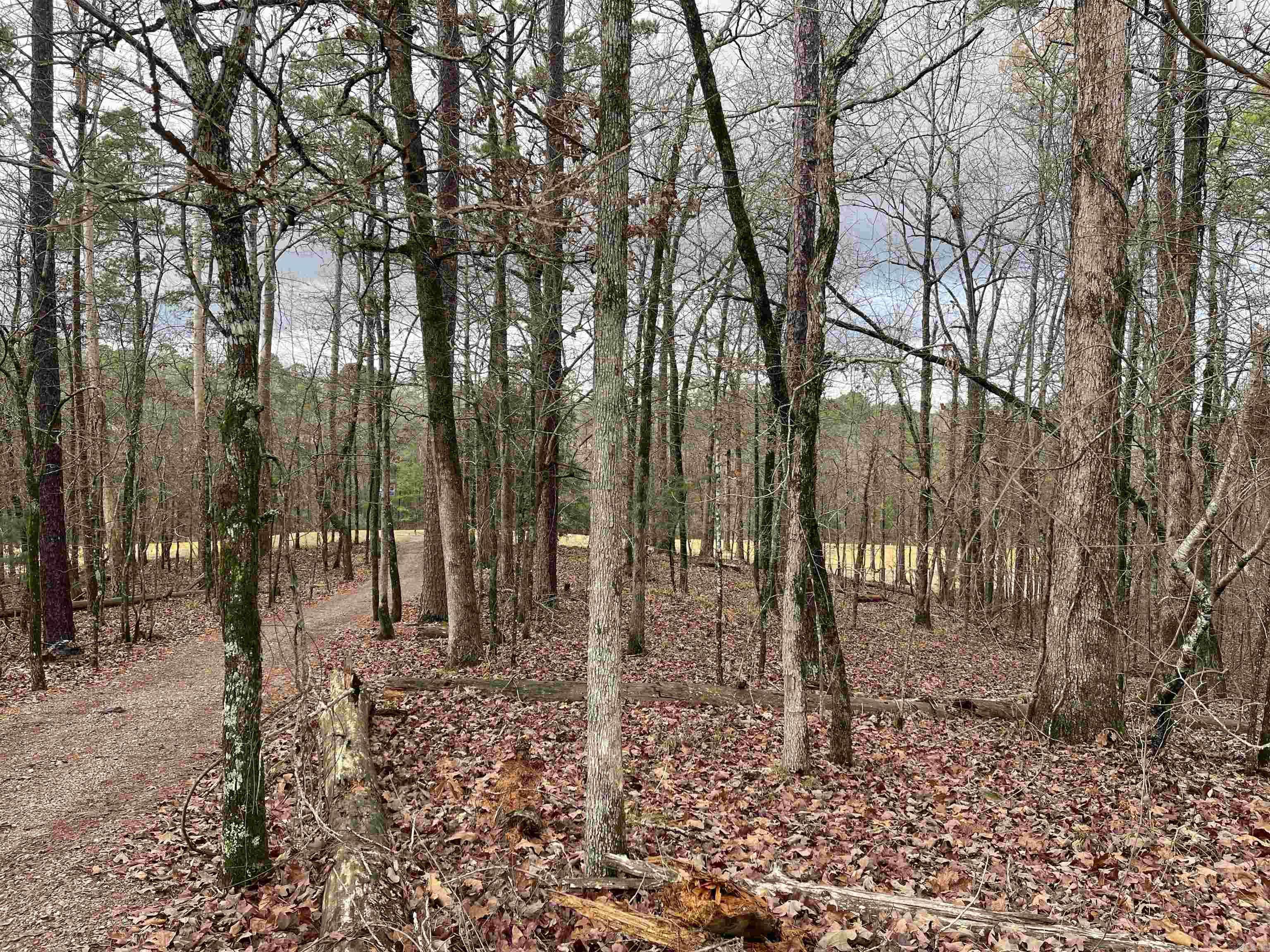Hot Springs Village, AR 71909,24 Darro Way