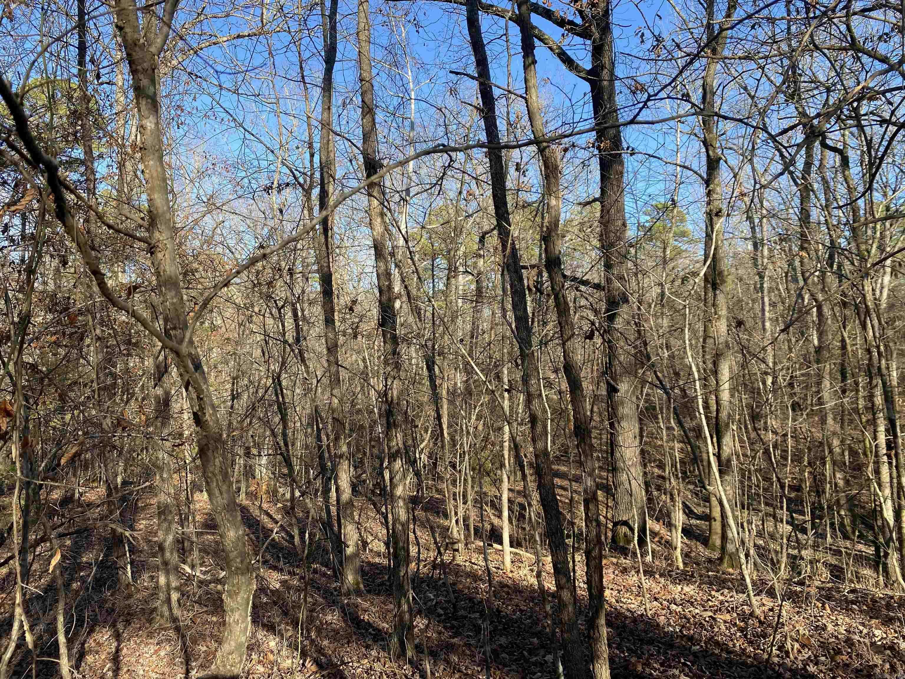 Mount Ida, AR 71957,TBD Lloyd Street