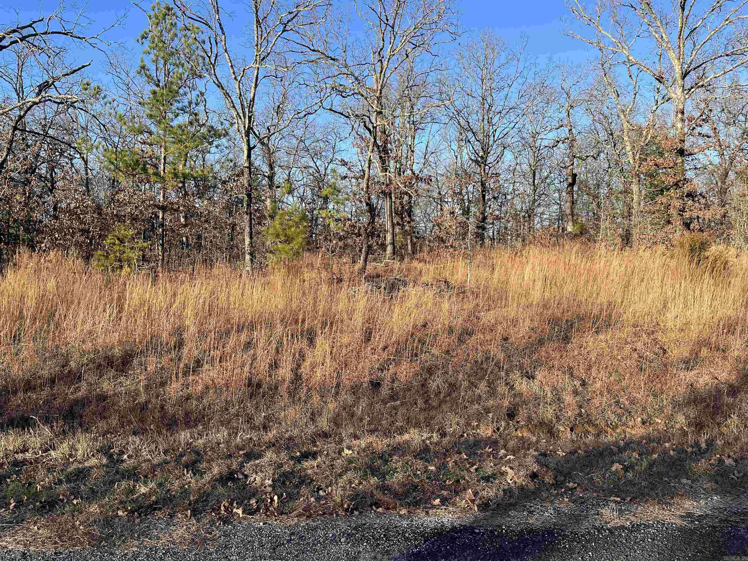 Vilonia, AR 72173,0 Aaron Loop