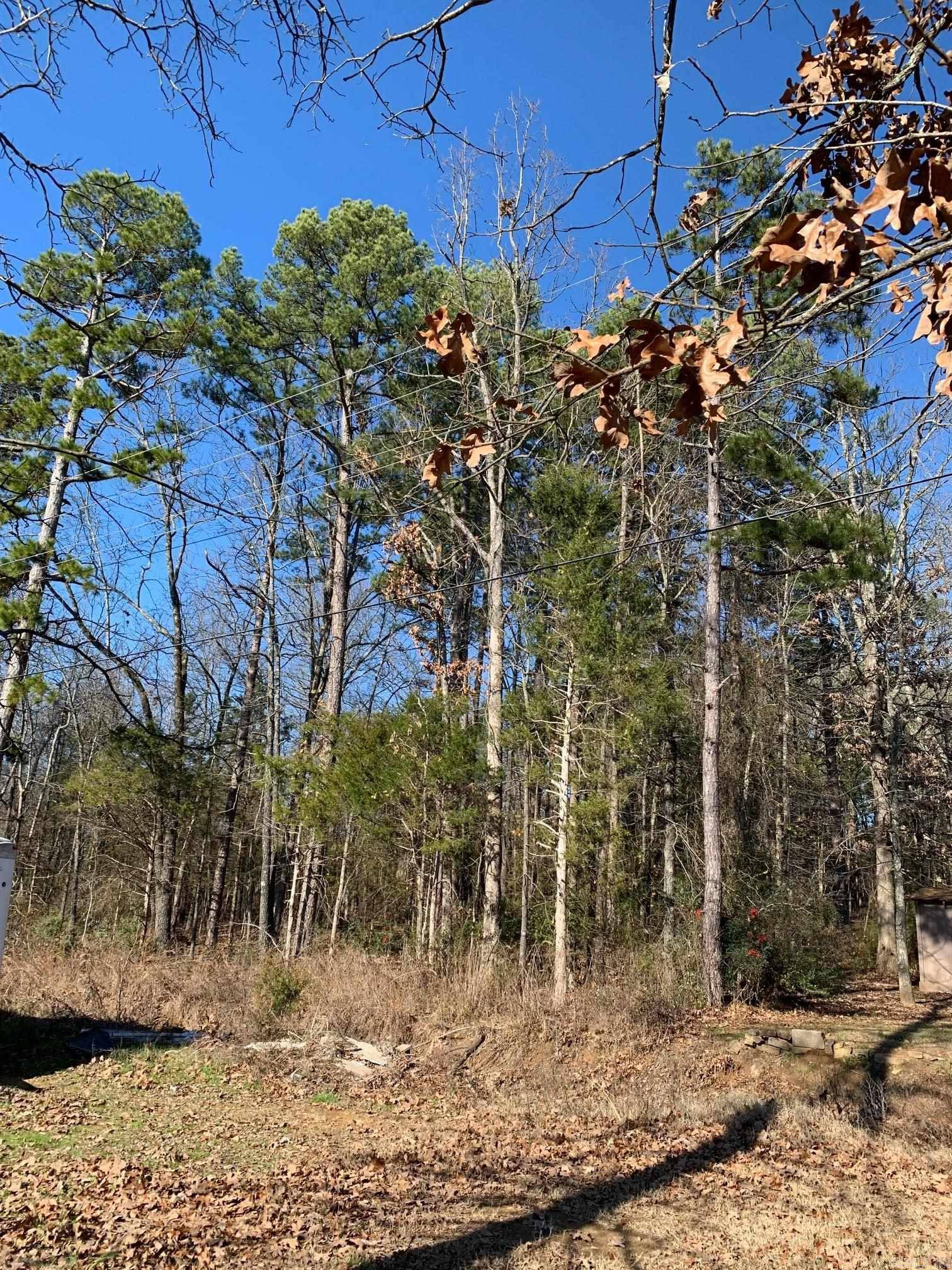 Heber Springs, AR 72543,Lot 4 Thelma Street