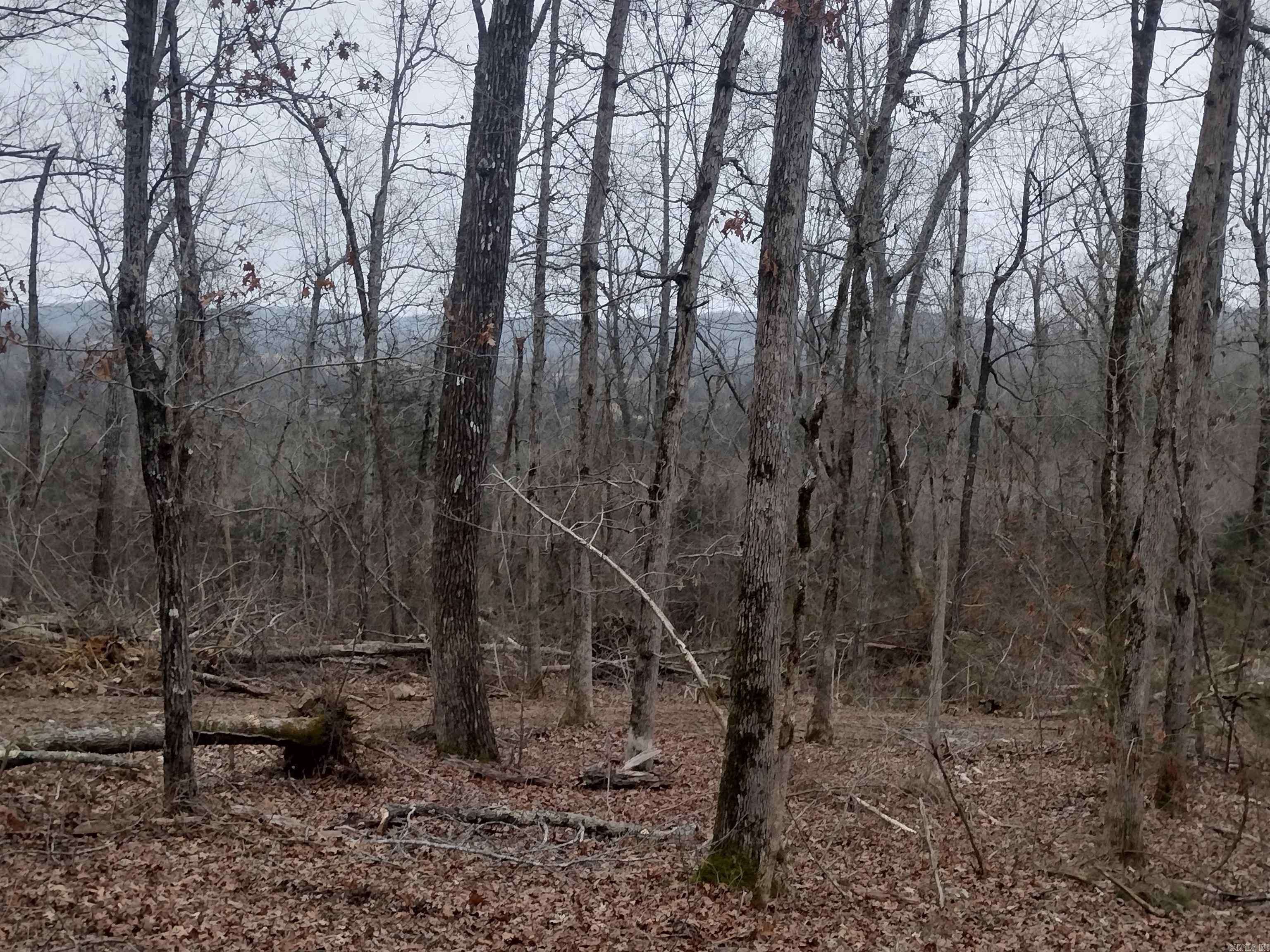 Mountain View, AR 72560,0 SugarHill RD