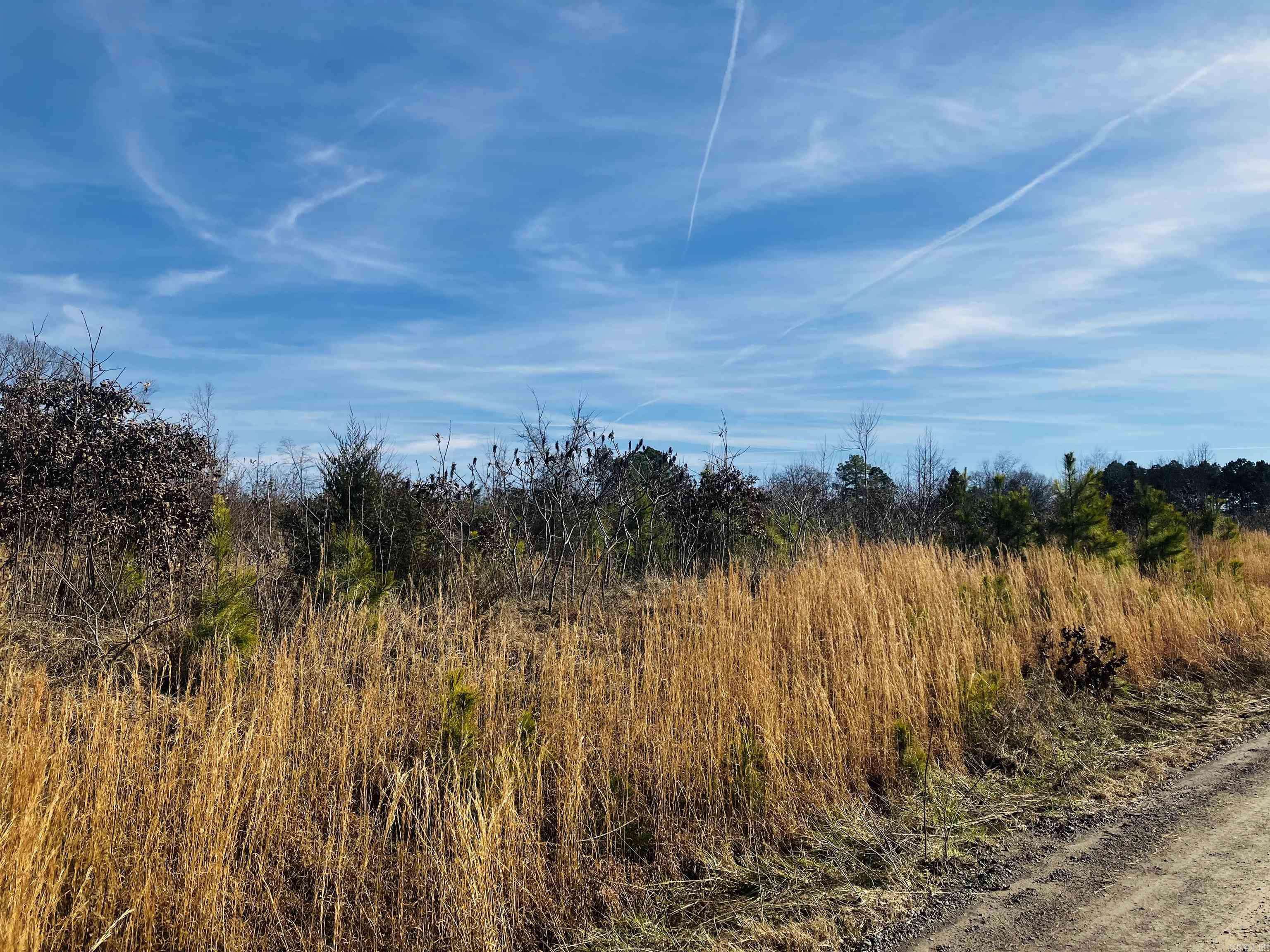 Center Ridge, AR 72027,TBD Wilderness Road