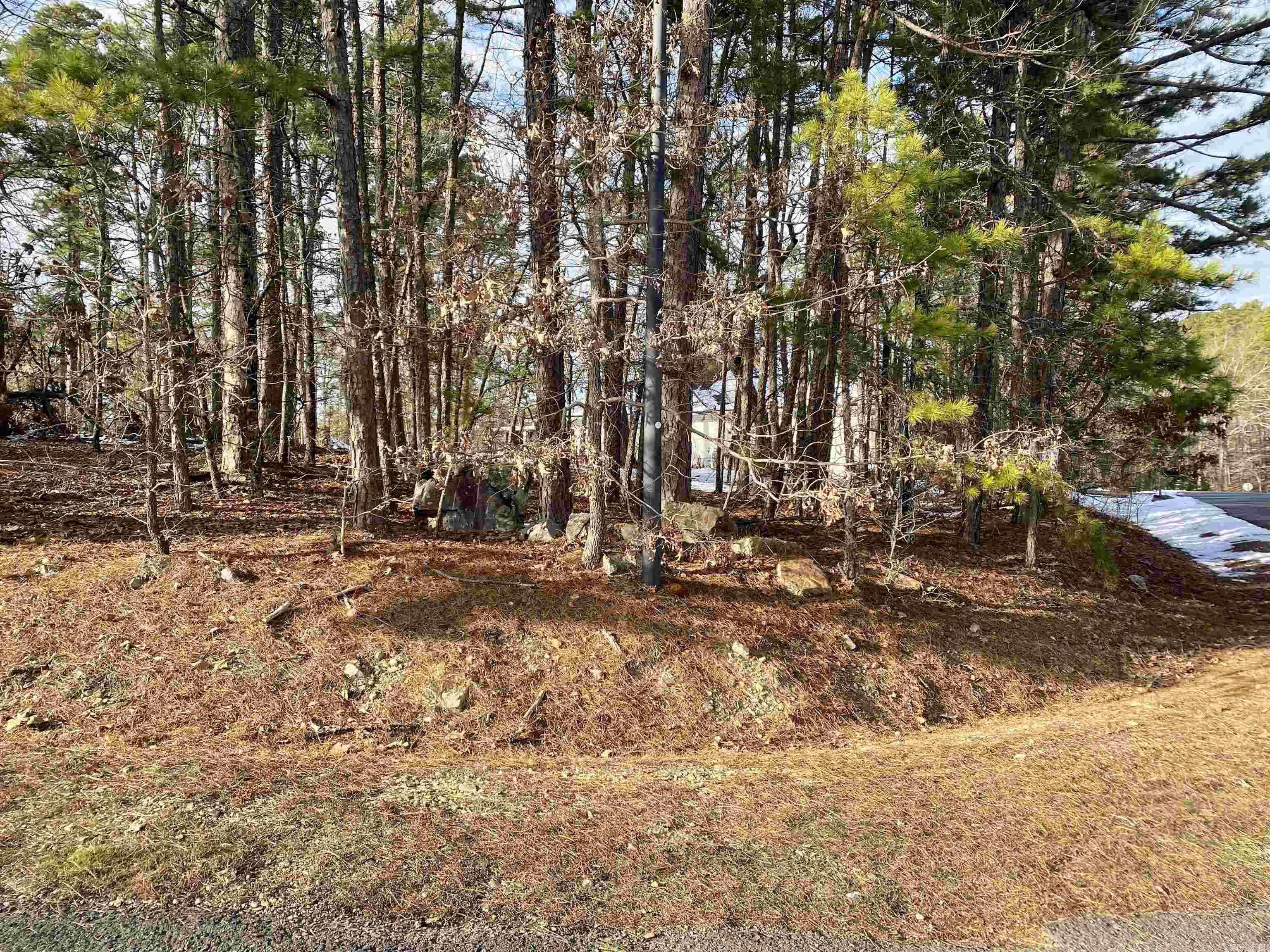 Hot Springs Village, AR 71909,4 Hanares Lane