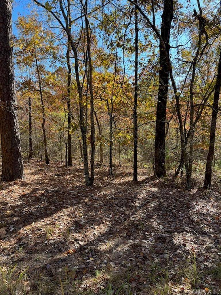 Hot Springs Village, AR 71909,17 Fachado Way