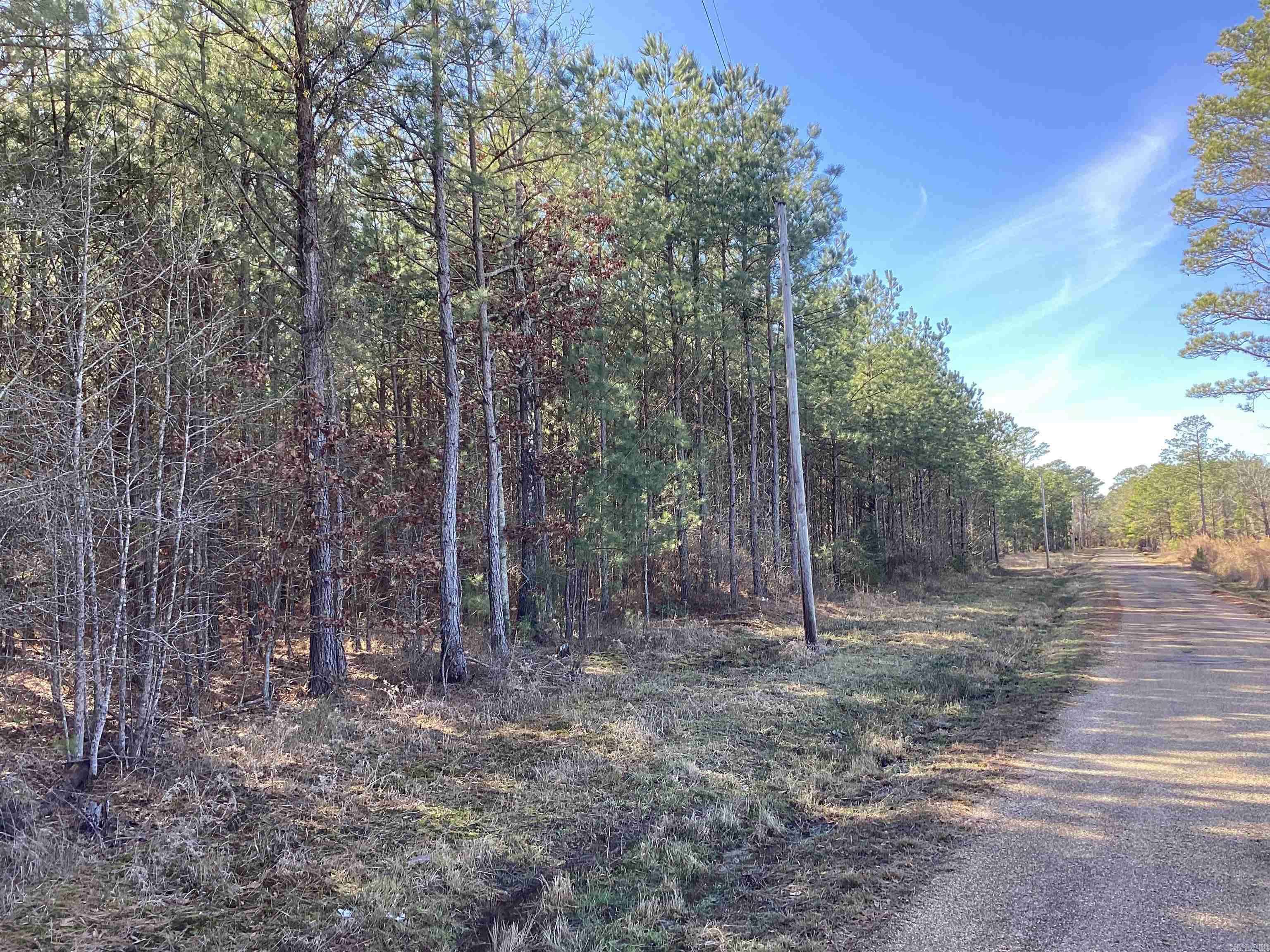 Chidester, AR 71726,152 Hesterly St