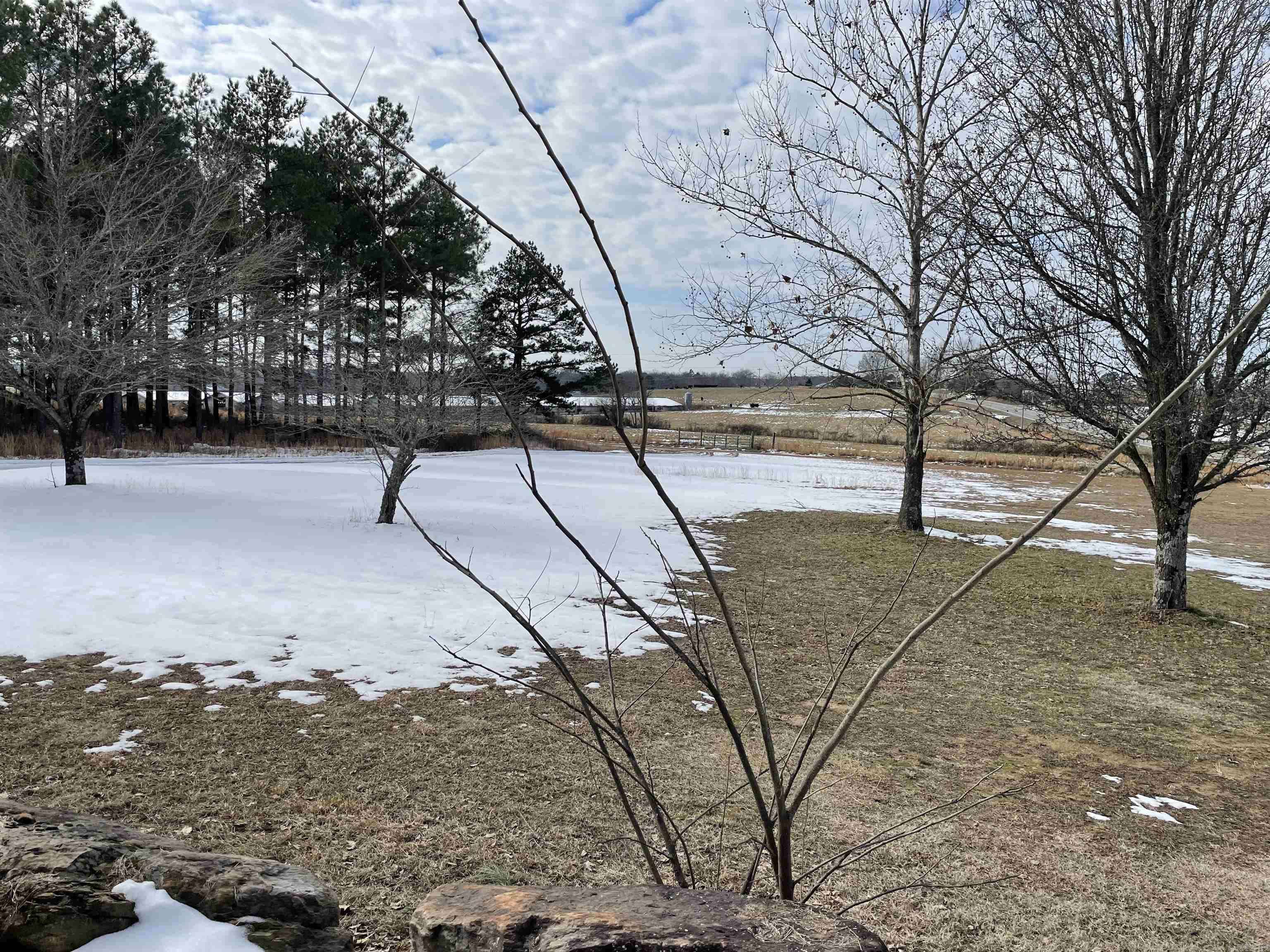 Greers Ferry, AR 72067,31 Guinea Lane
