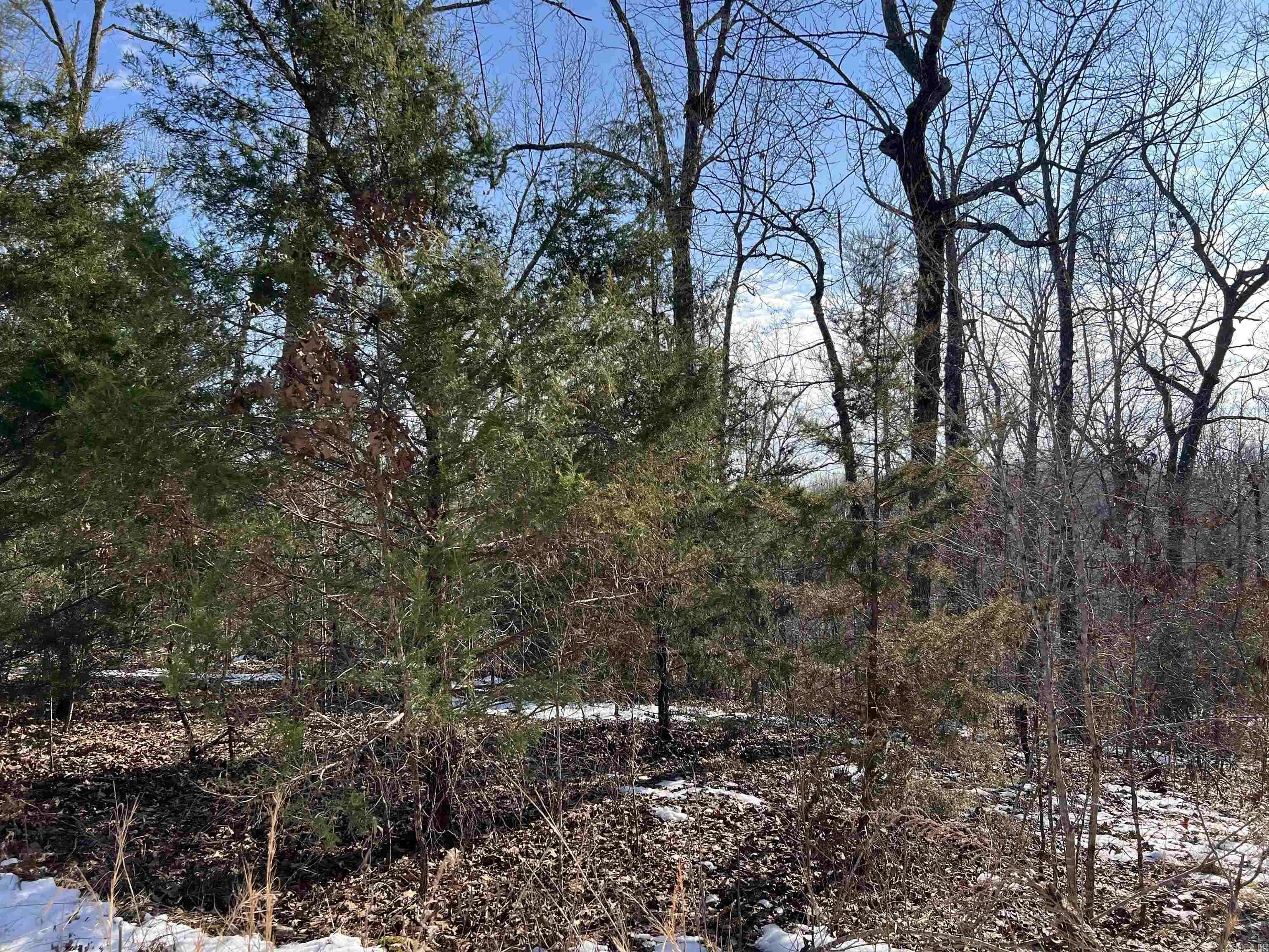 Mammoth Spring, AR 72554,1110 Private Road