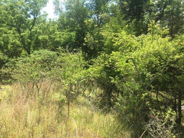 Calico Rock, AR 72519,1179 Lofton Road