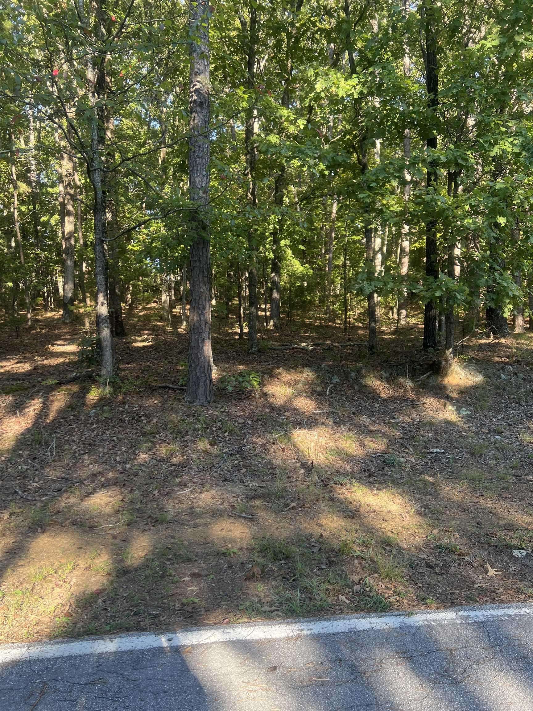 Fairfield Bay, AR 72088,Lot 133 Dave Creek Parkway