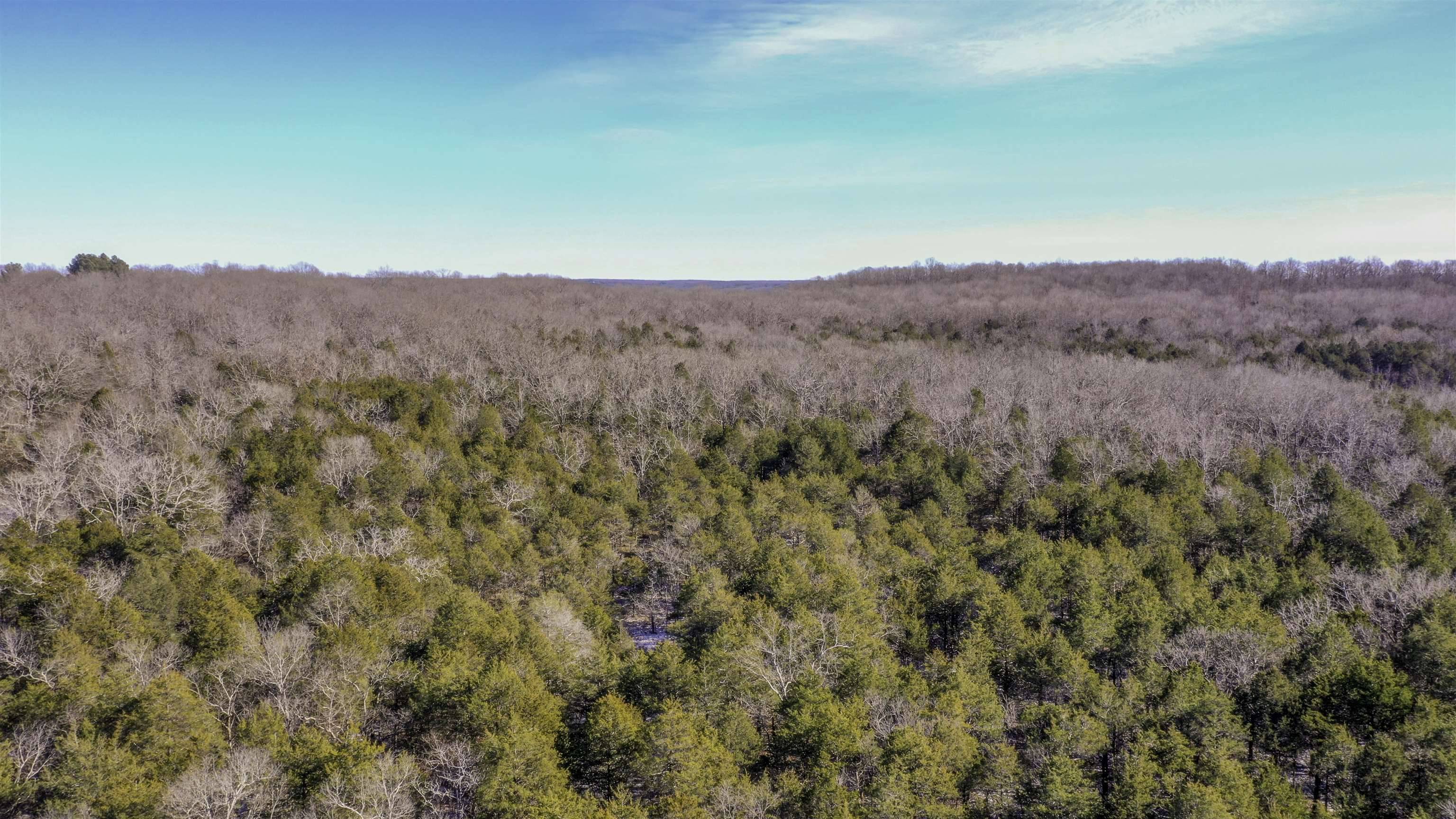 Williford, AR 72482,Lot 21 Fawn Ridge Ln Lane