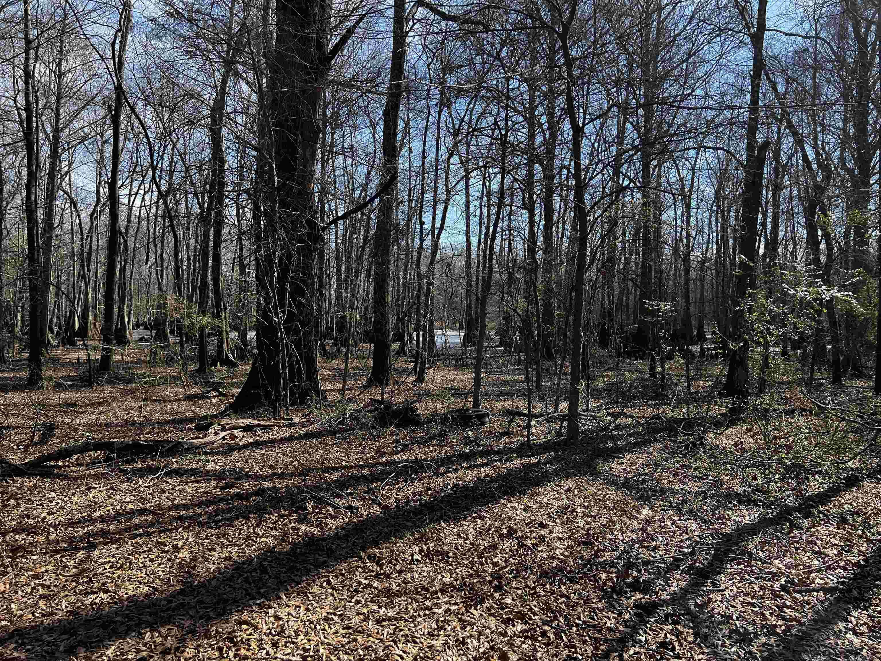North Little Rock, AR 72117,000 McClendon Road