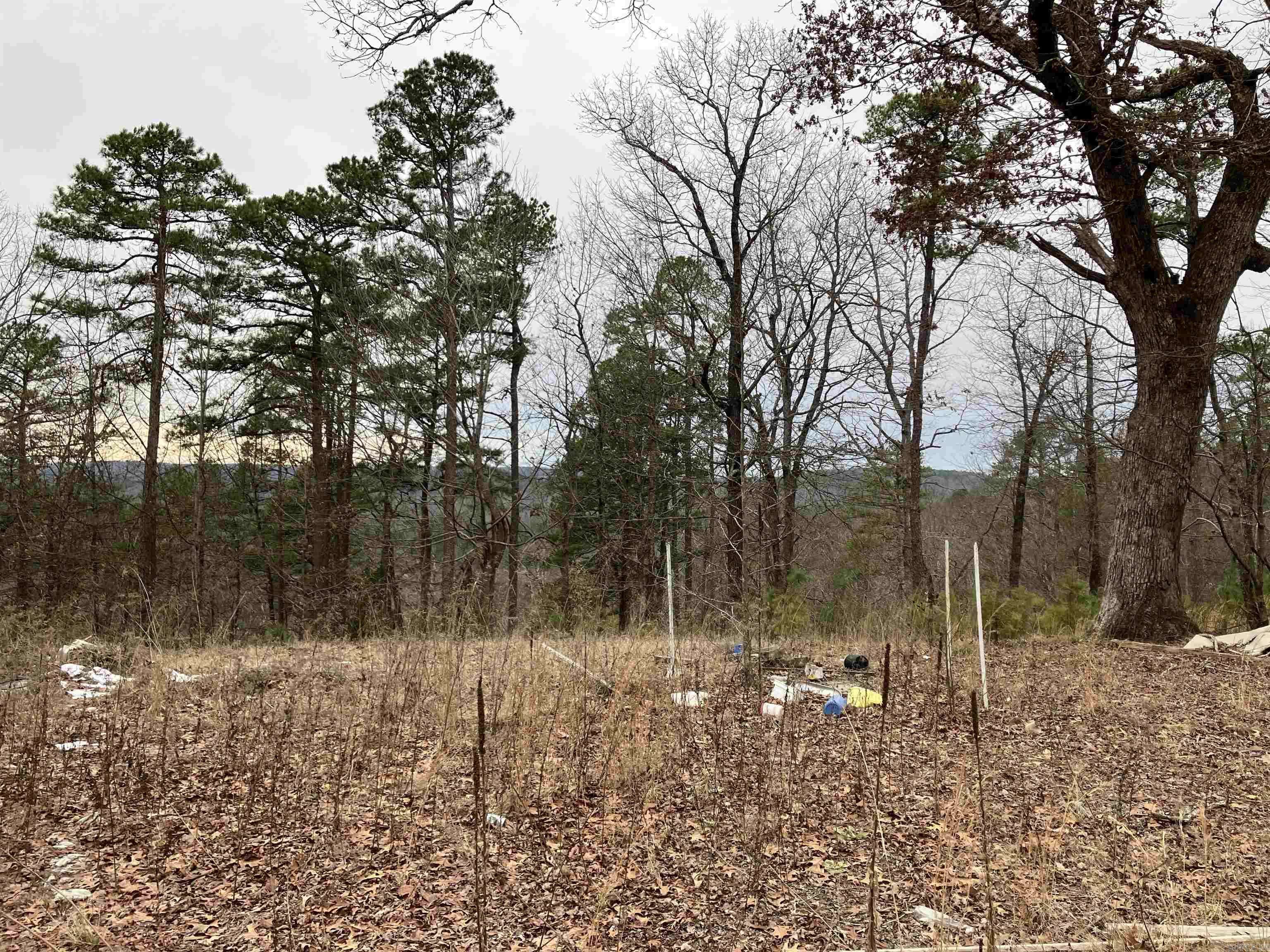 Clinton, AR 72031,12329 W Highway 16