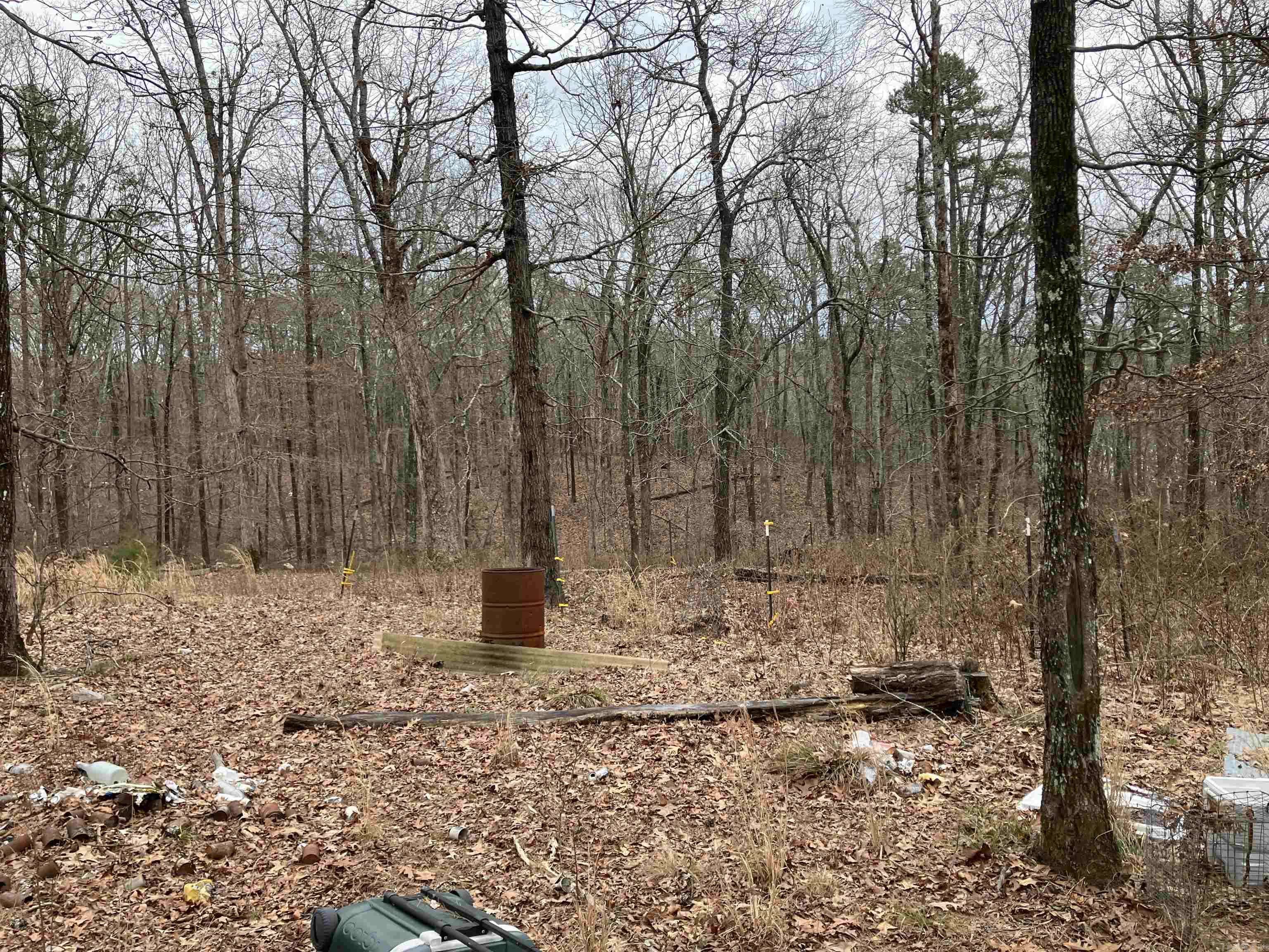 Clinton, AR 72031,Address not disclosed