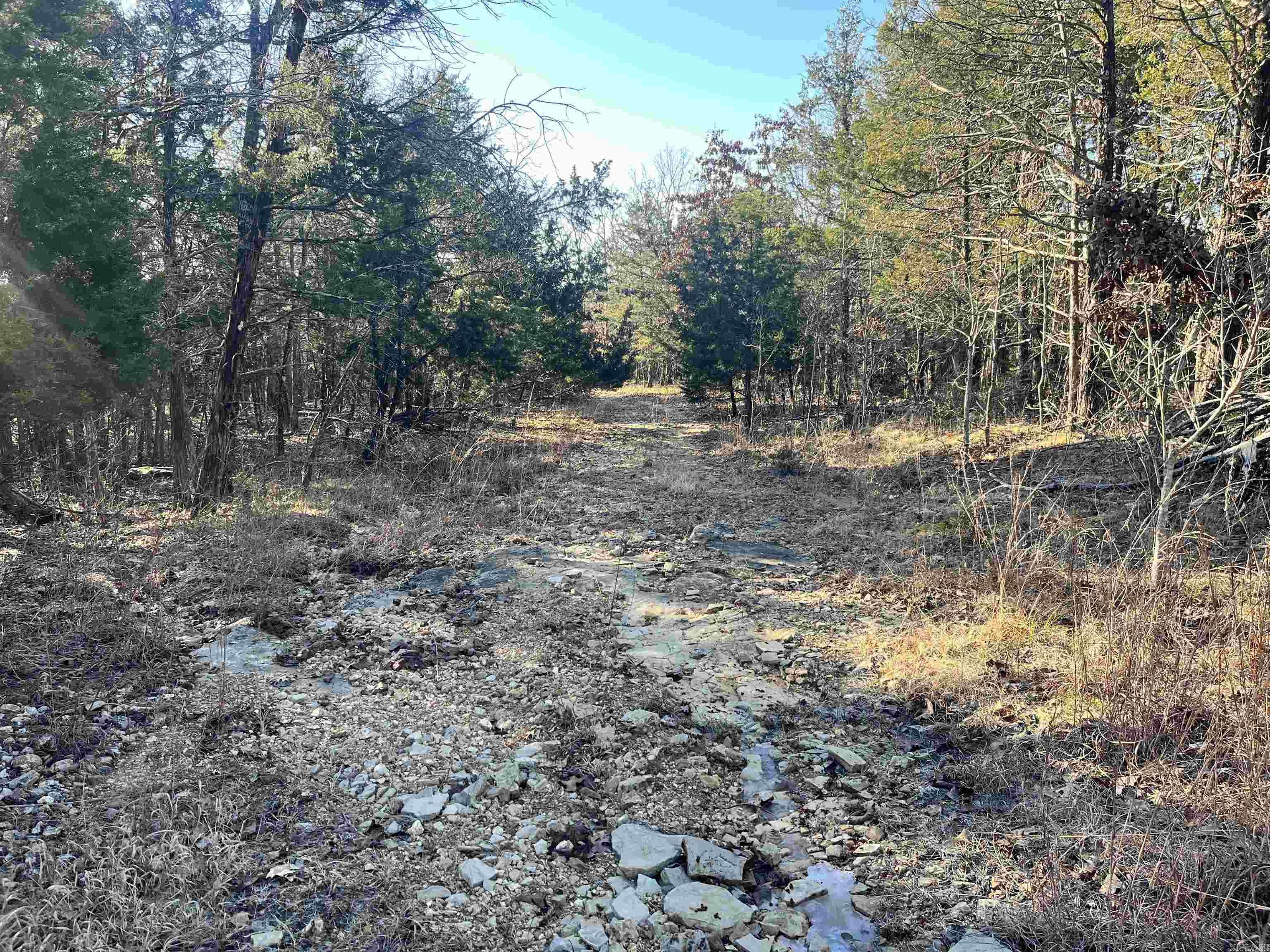 Theodosia, AR 65761,001-06576-000 Off Round Robin Lane
