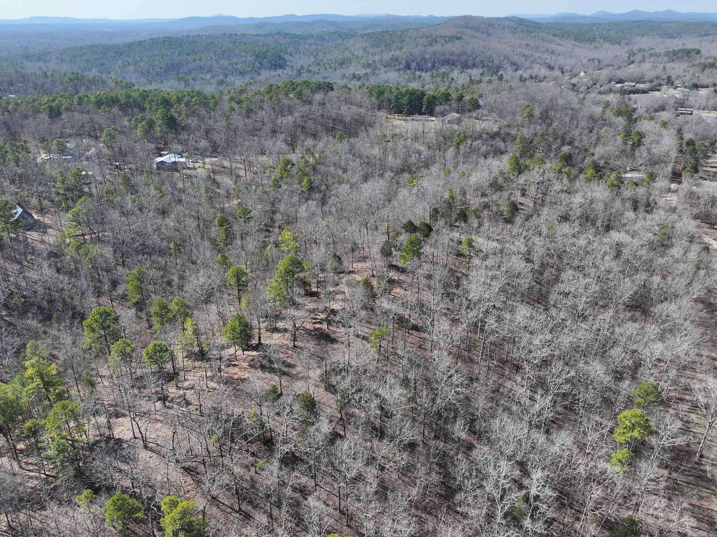Royal, AR 71968,000 CAVANAUGH Road