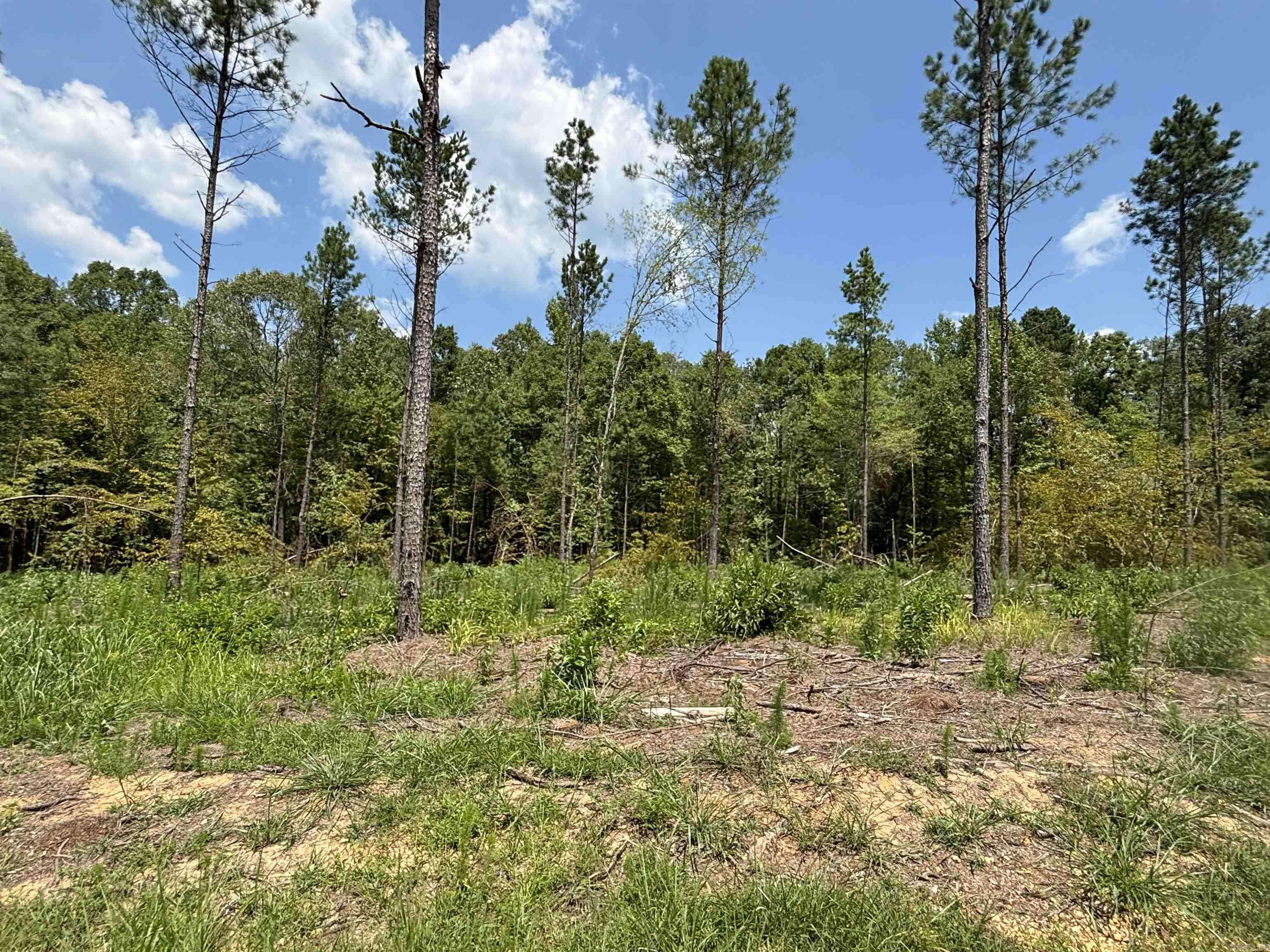 Sheridan, AR 72150,0 Grant 43 (F)
