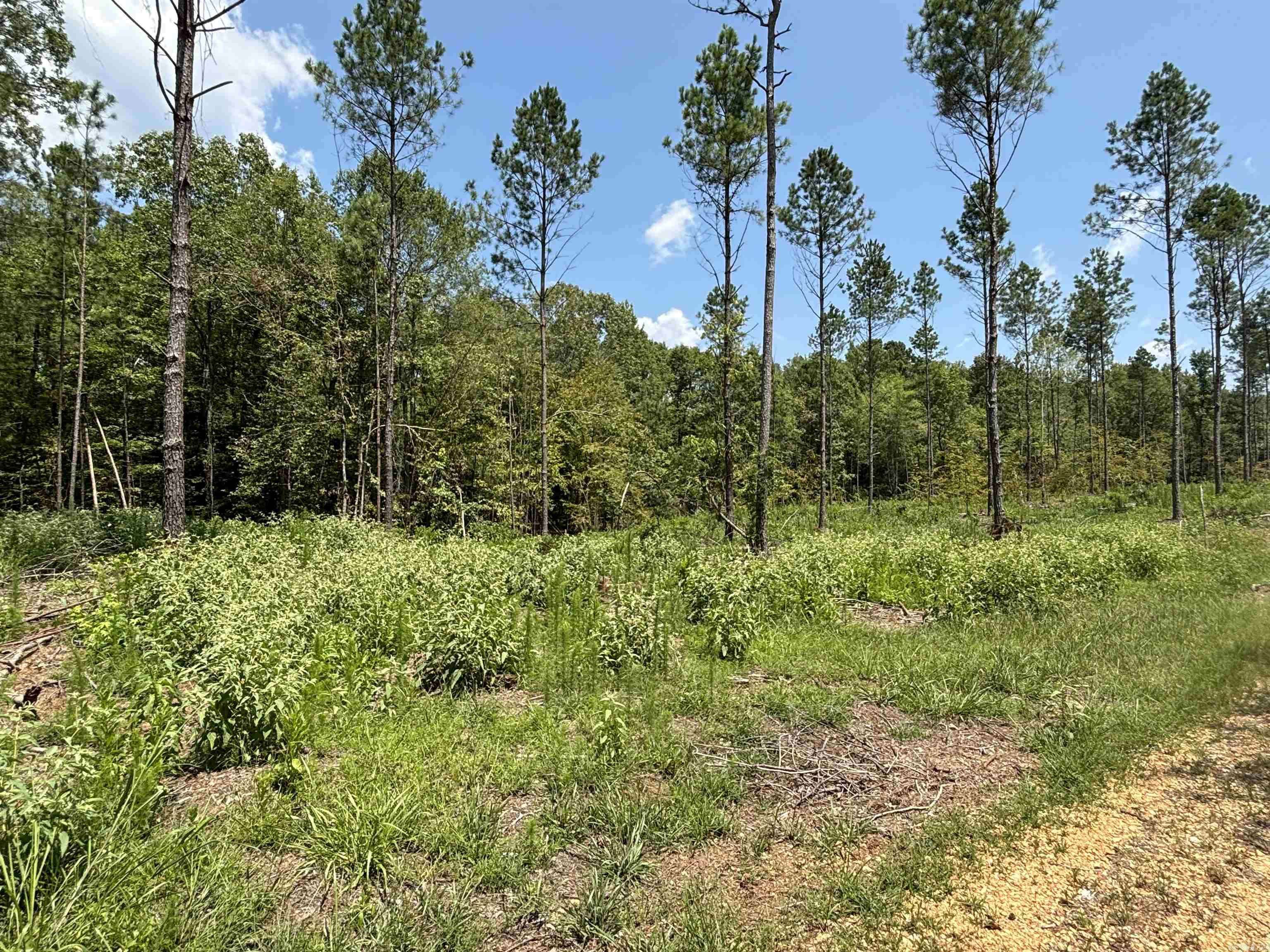 Sheridan, AR 72150,0 Grant 43 (F)