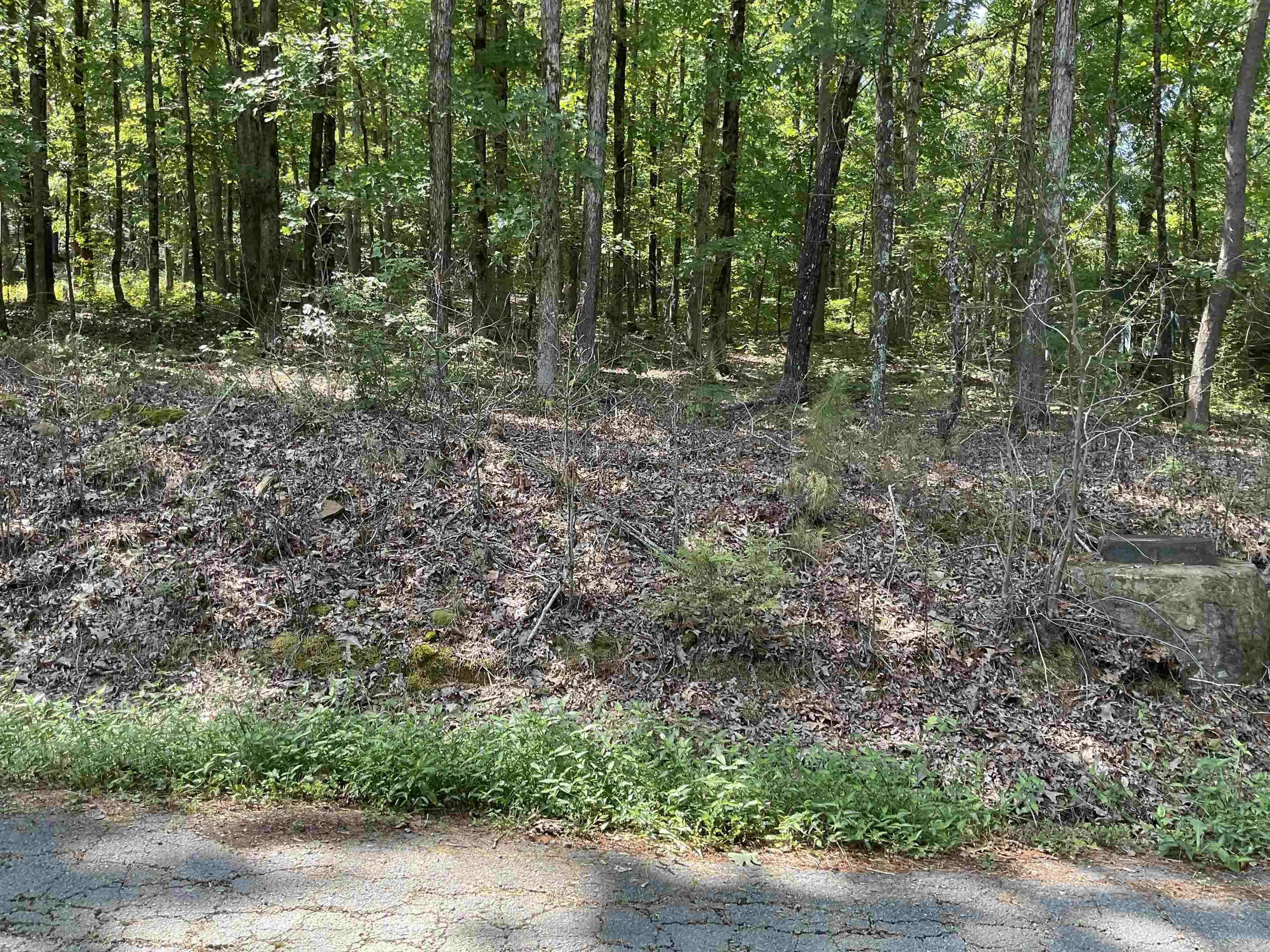 Heber Springs, AR 72543,L29 Dogwood Trail
