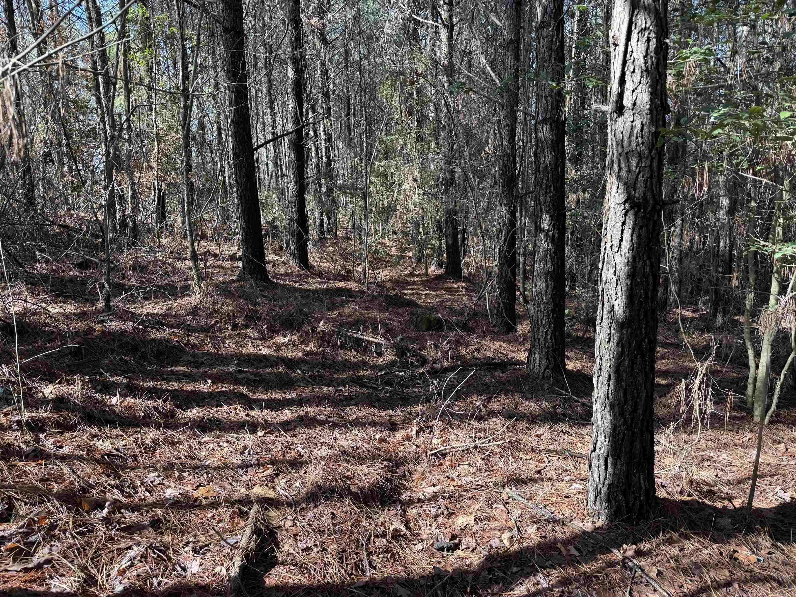 Wickes, AR 71953,TBD Polk Road 13