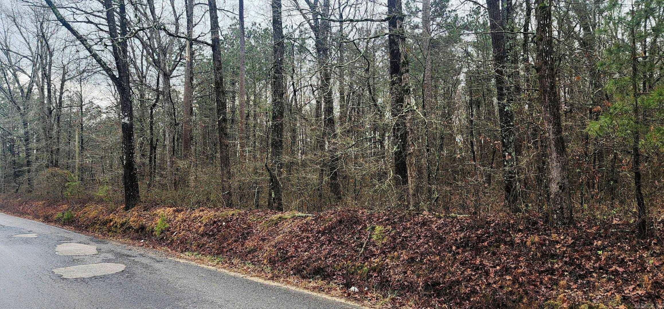 Rison, AR 71665,Lot 3 Smith Road
