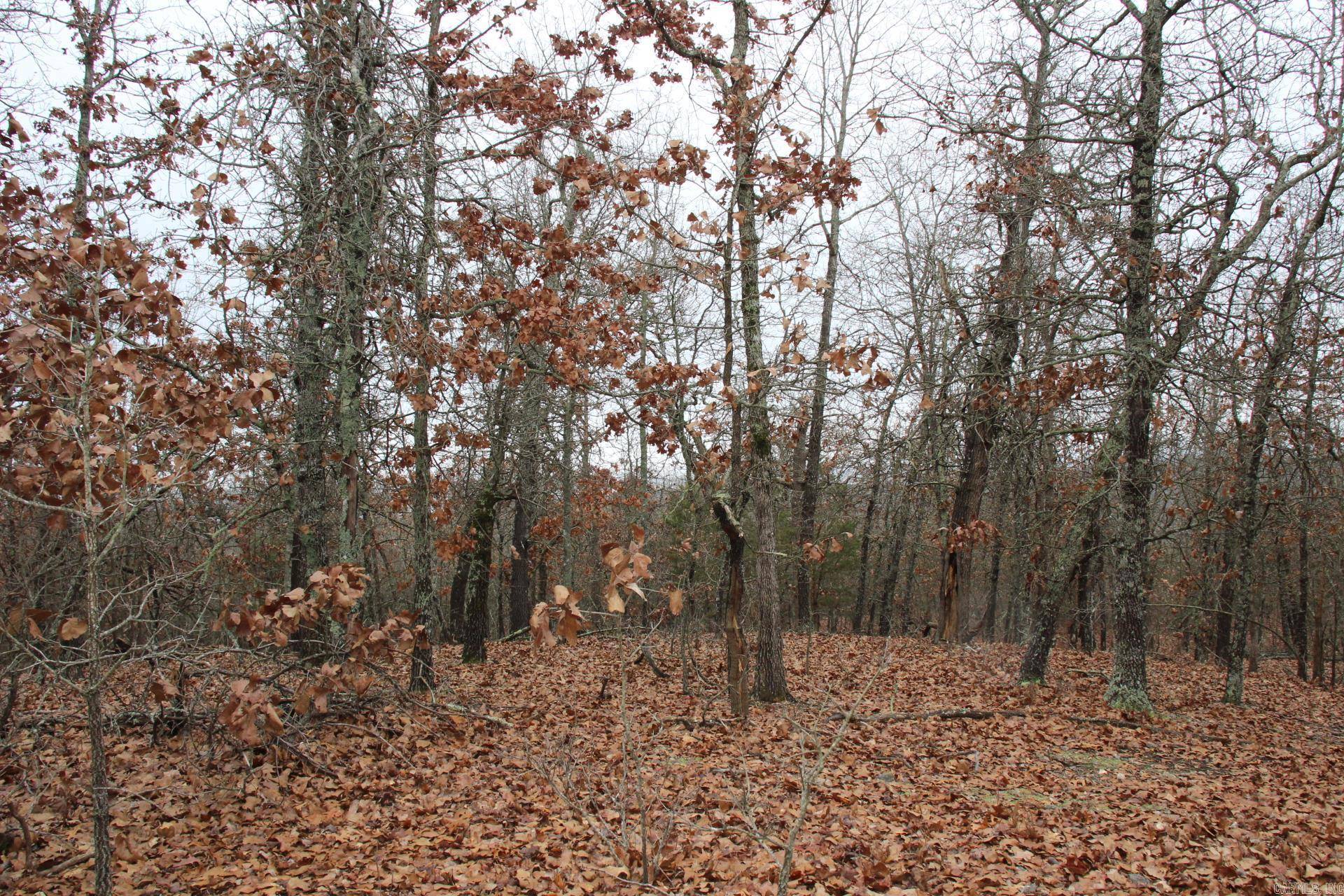 Theodosia, AR 65761,178 Round Robin Lane