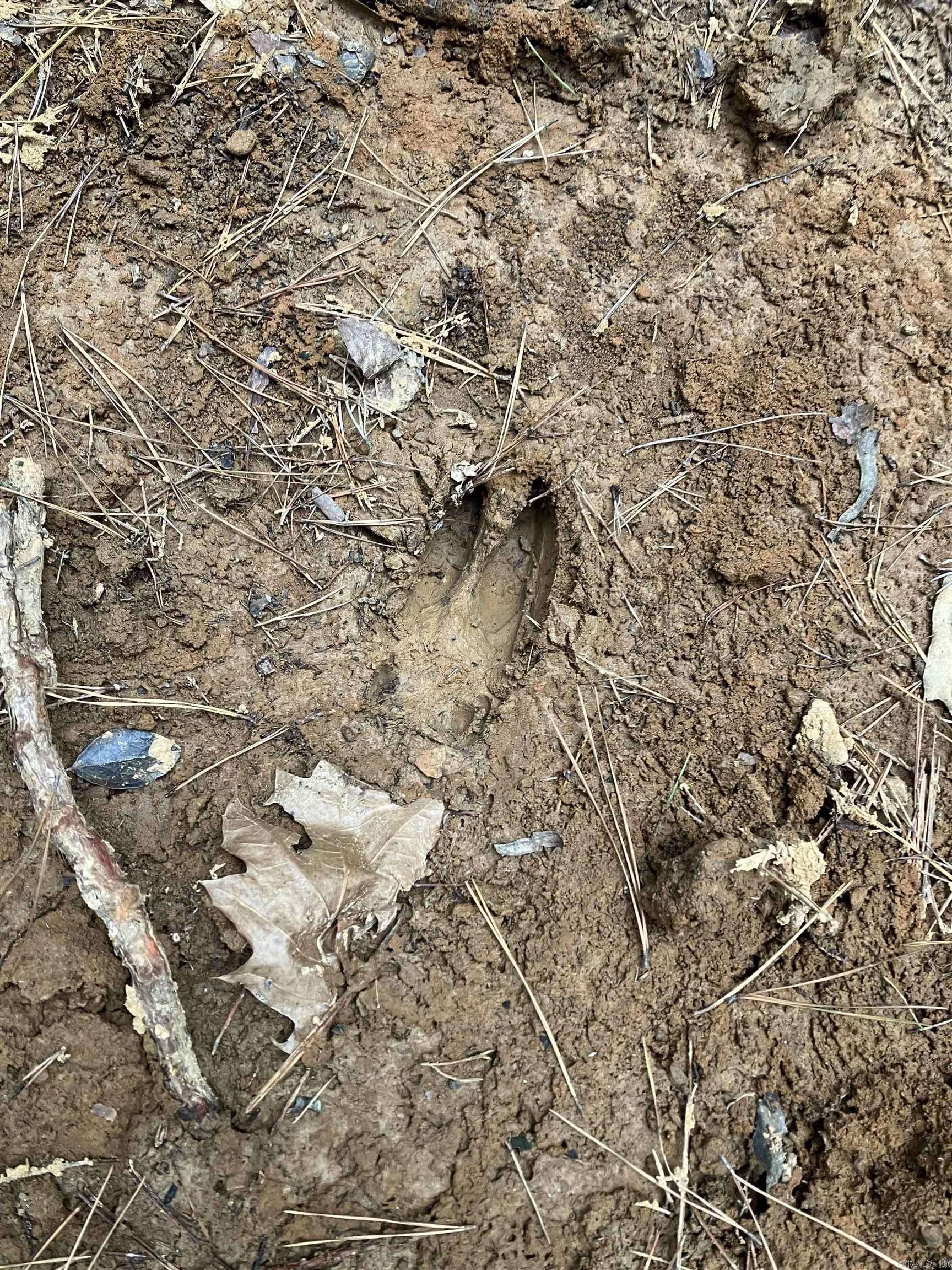 Shirley, AR 72153,Address not disclosed