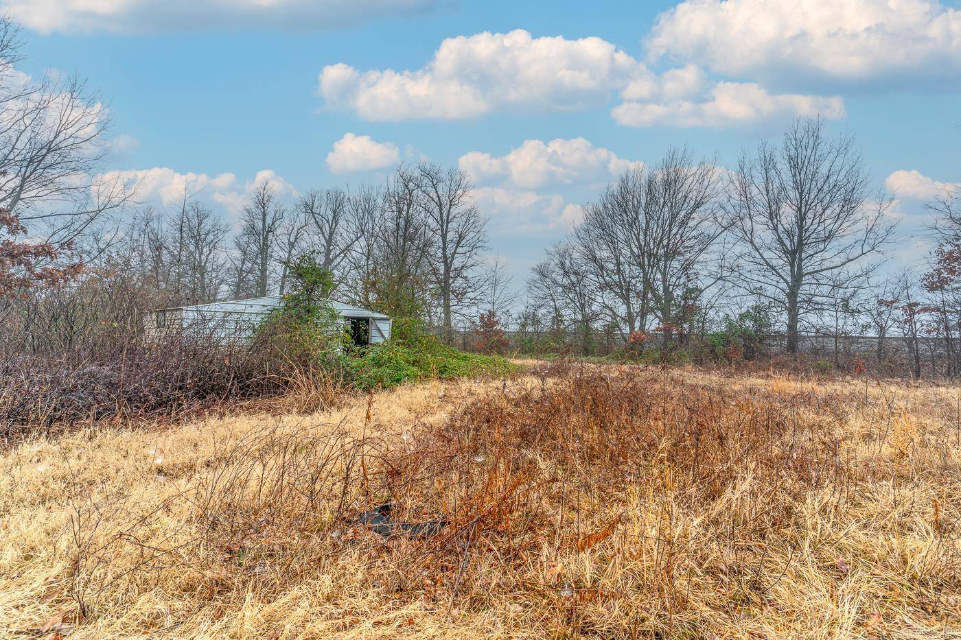 Delaplaine, AR 72425,7780 Highway 90