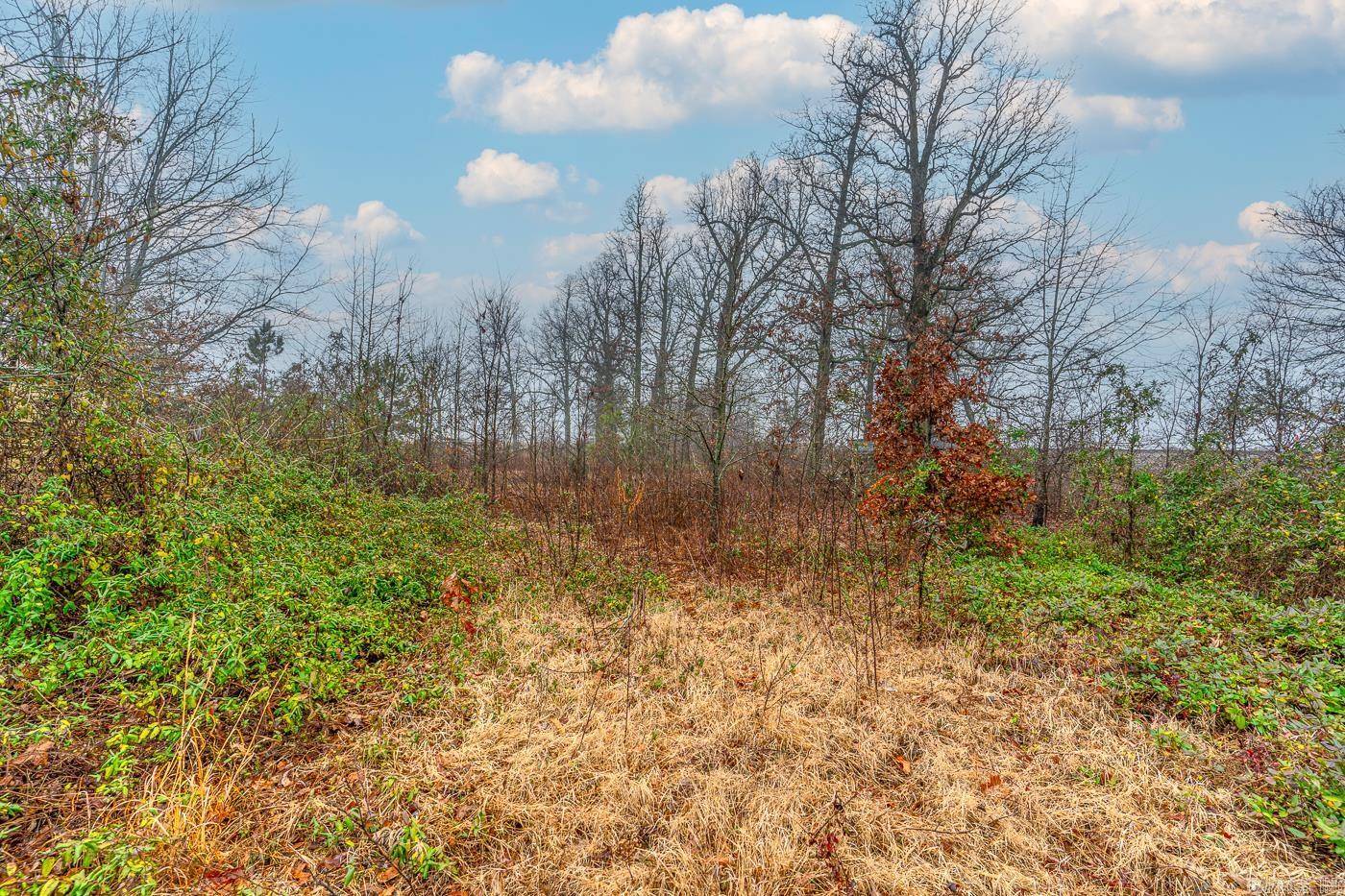 Delaplaine, AR 72425,7780 Highway 90