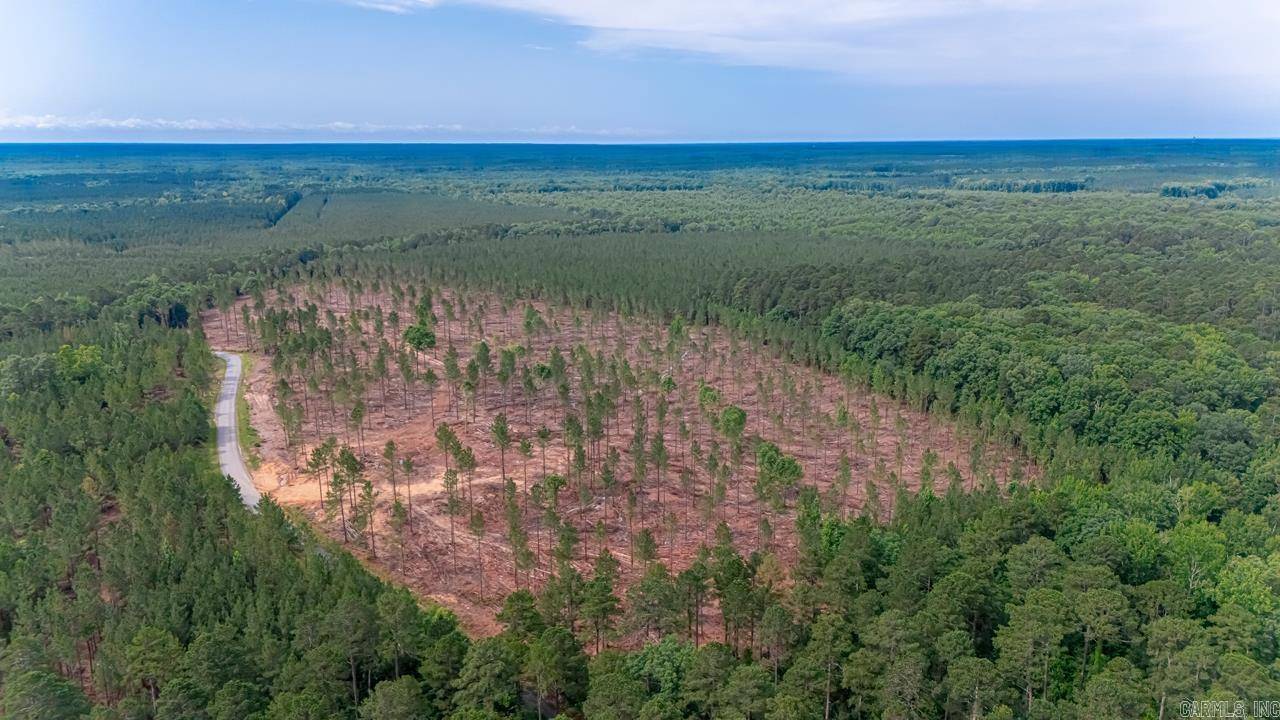Hensley, AR 72065,LOT #7 Grant 55