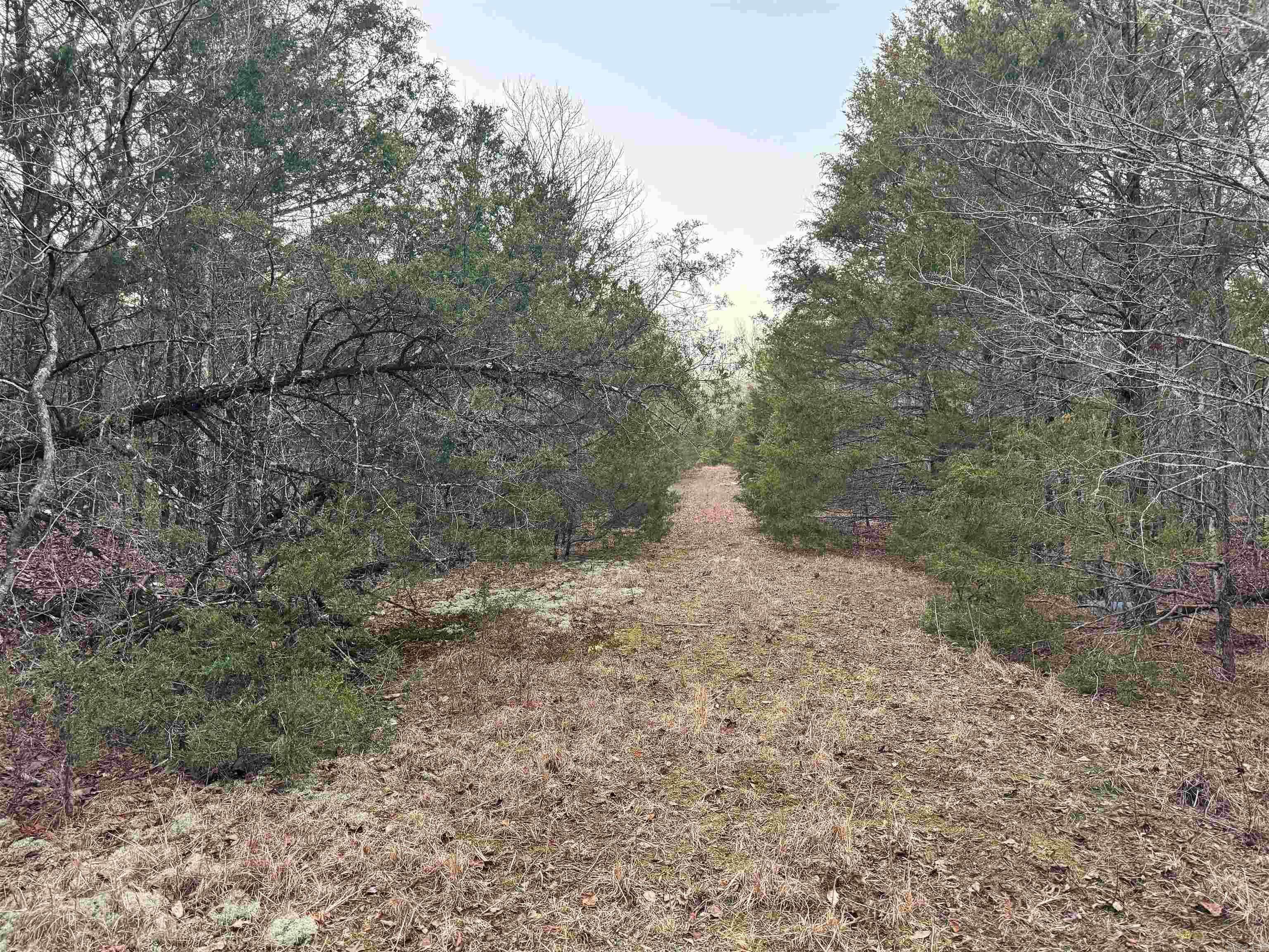 Lonsdale, AR 72087,214 Dearmon