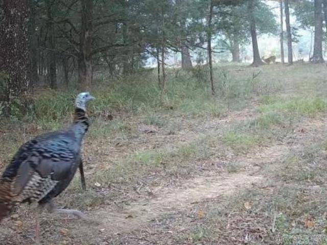 Atkins, AR 72823,000 HWY 105