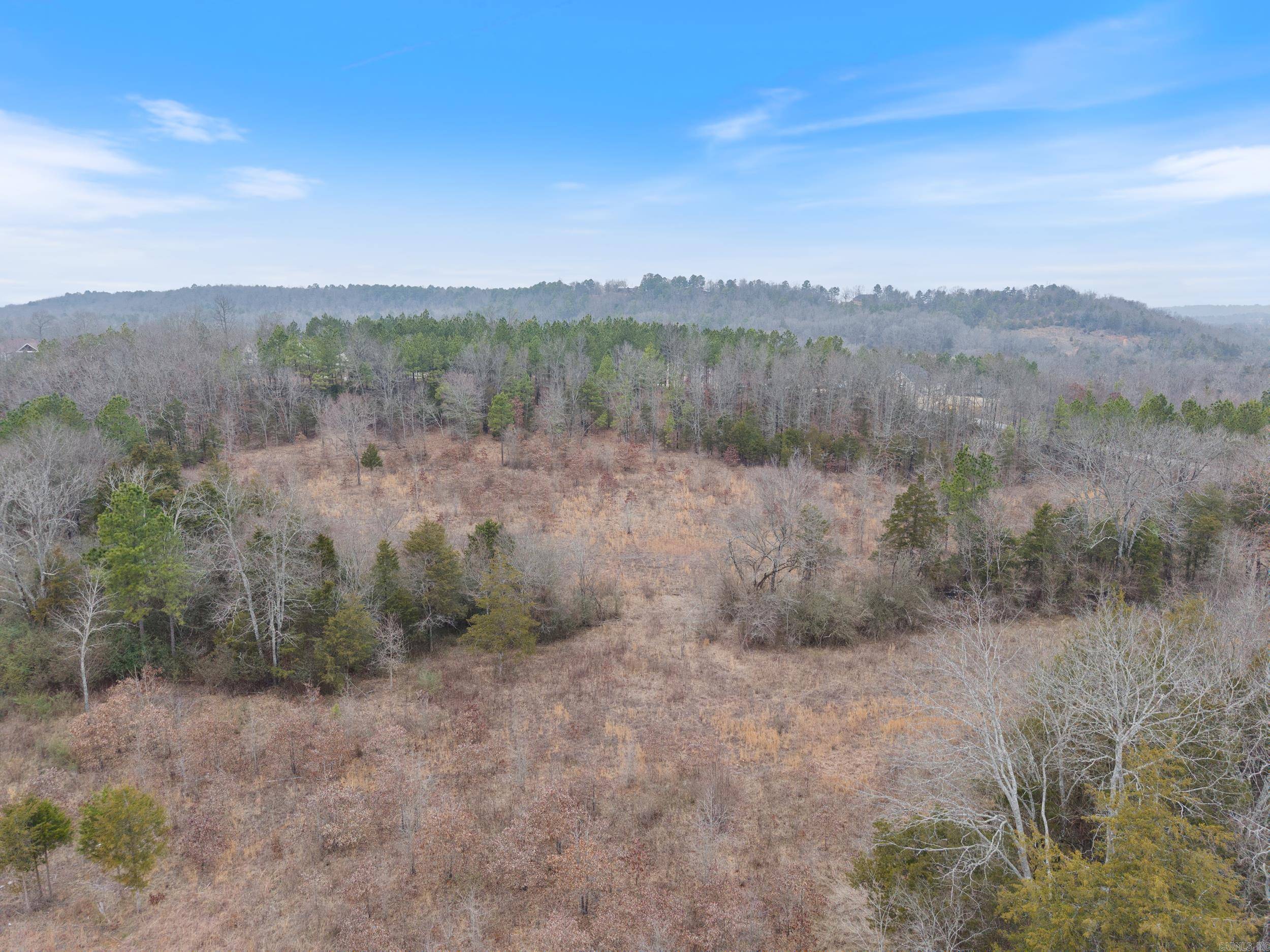 Greenbrier, AR 72058,00 Panther Run Trail