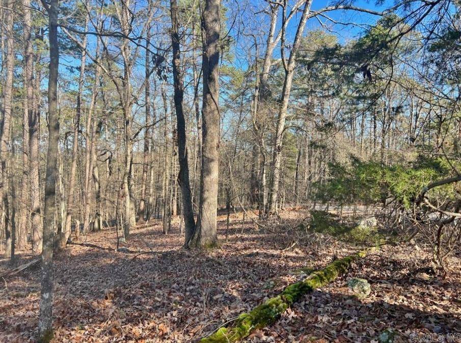 Hot Springs Village, AR 71909-0000,46 Mariposa Way