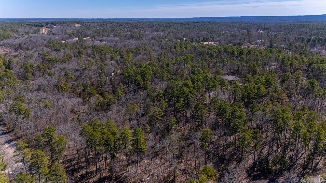 Hot Springs Village, AR 71909,48 Campeon Way