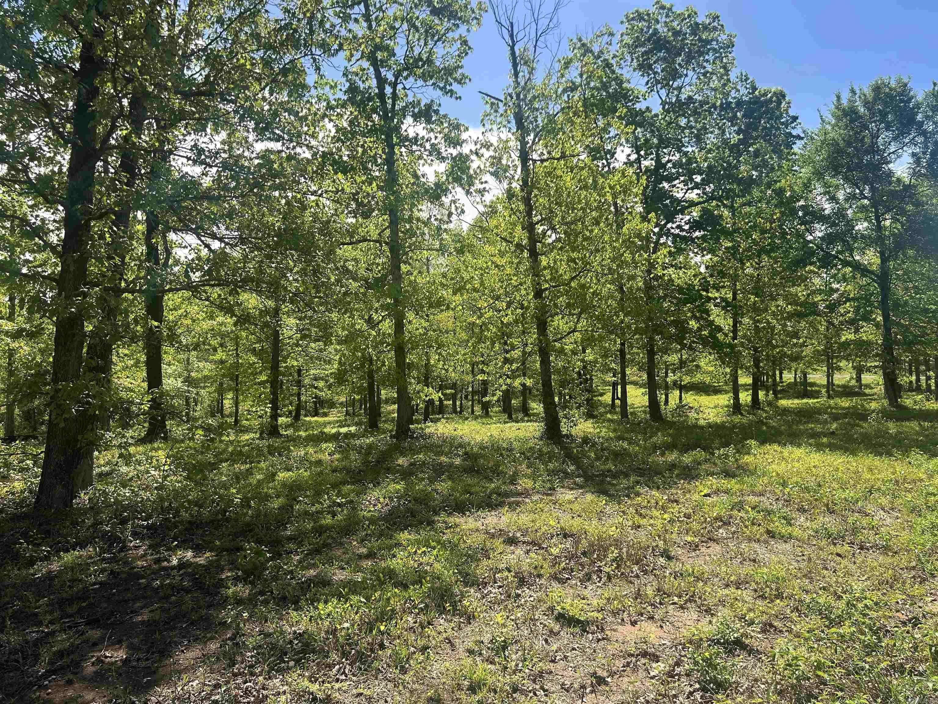 Sheridan, AR 72150,Lot 1 Grant County Road 762
