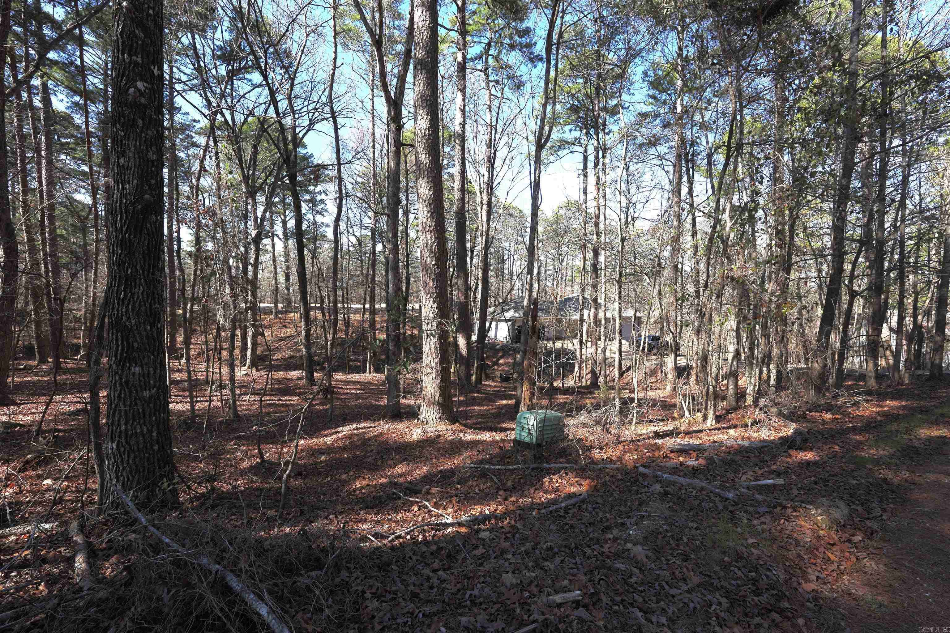 Hot Springs Village, AR 71909,Address not disclosed