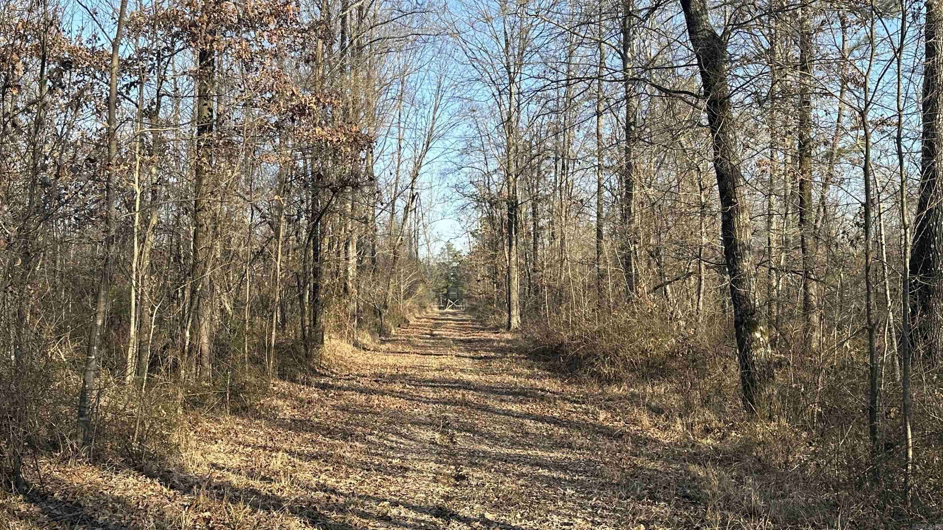 Pine Bluff, AR 71601,Address not disclosed