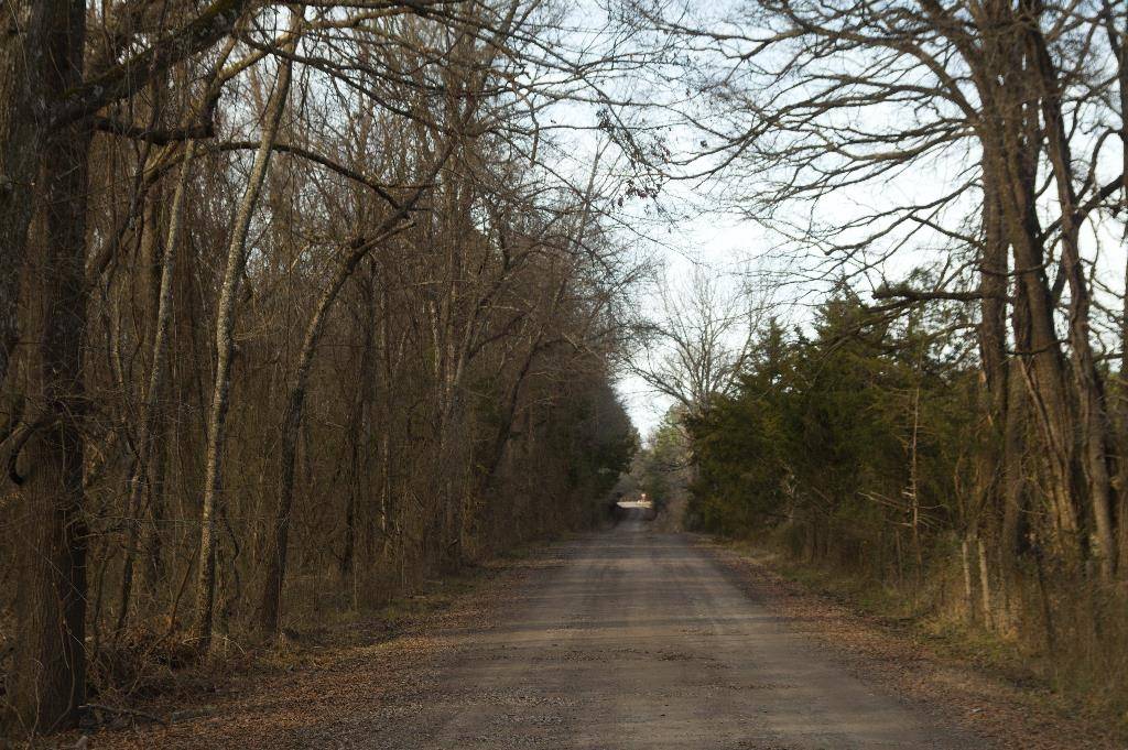 Bigelow, AR 72016,831 Kristofik Lane