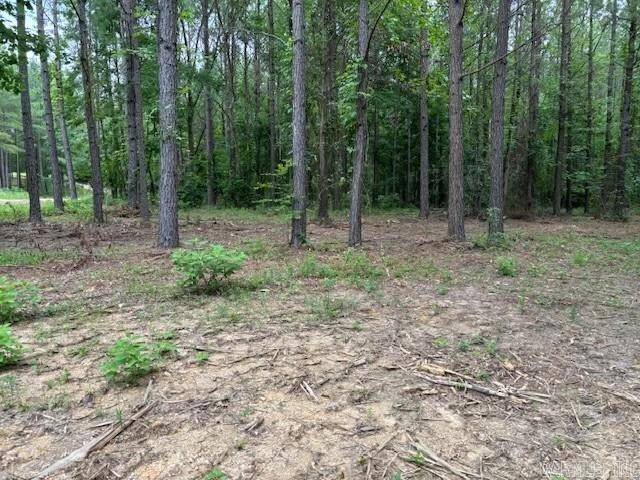 Lonsdale, AR 72087,hwy 128