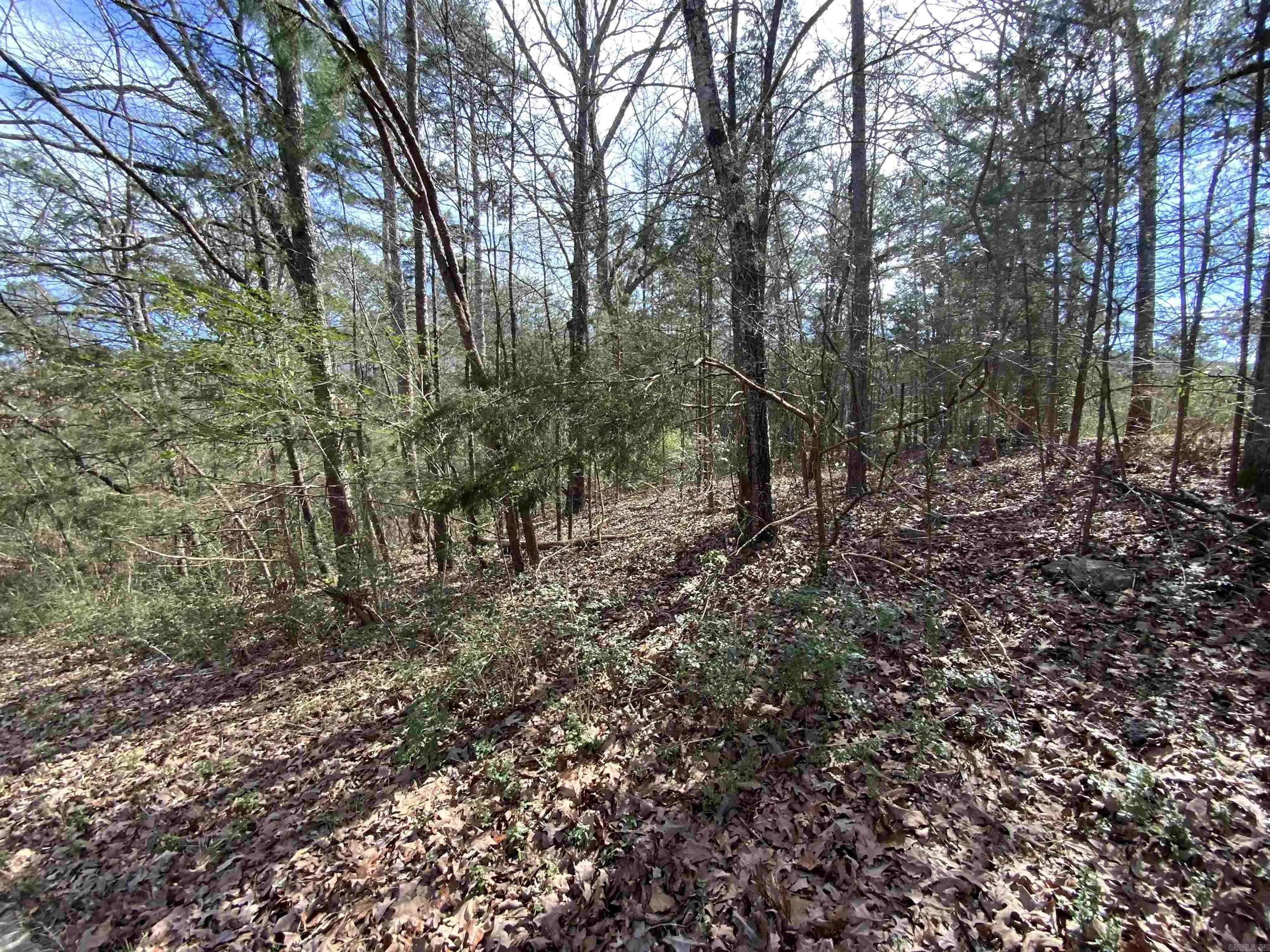 Heber Springs, AR 72543,0 E Clinton Place