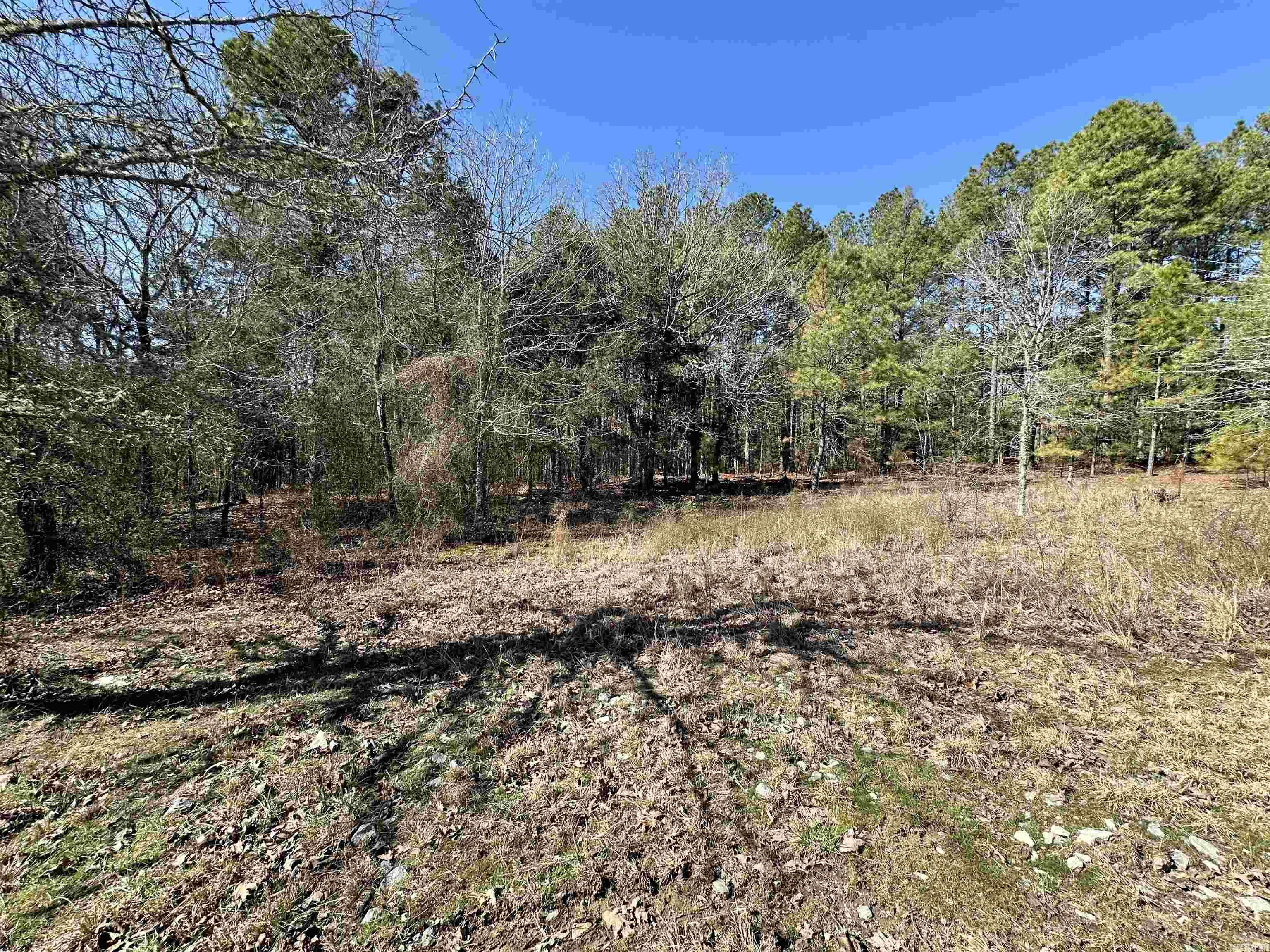 Hot Springs Village, AR 71909,4 Manzanares Drive