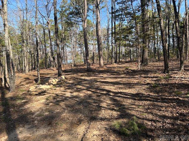 Higden, AR 72067,25 Howard Road