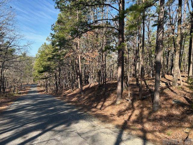 Higden, AR 72067,25 Howard Road