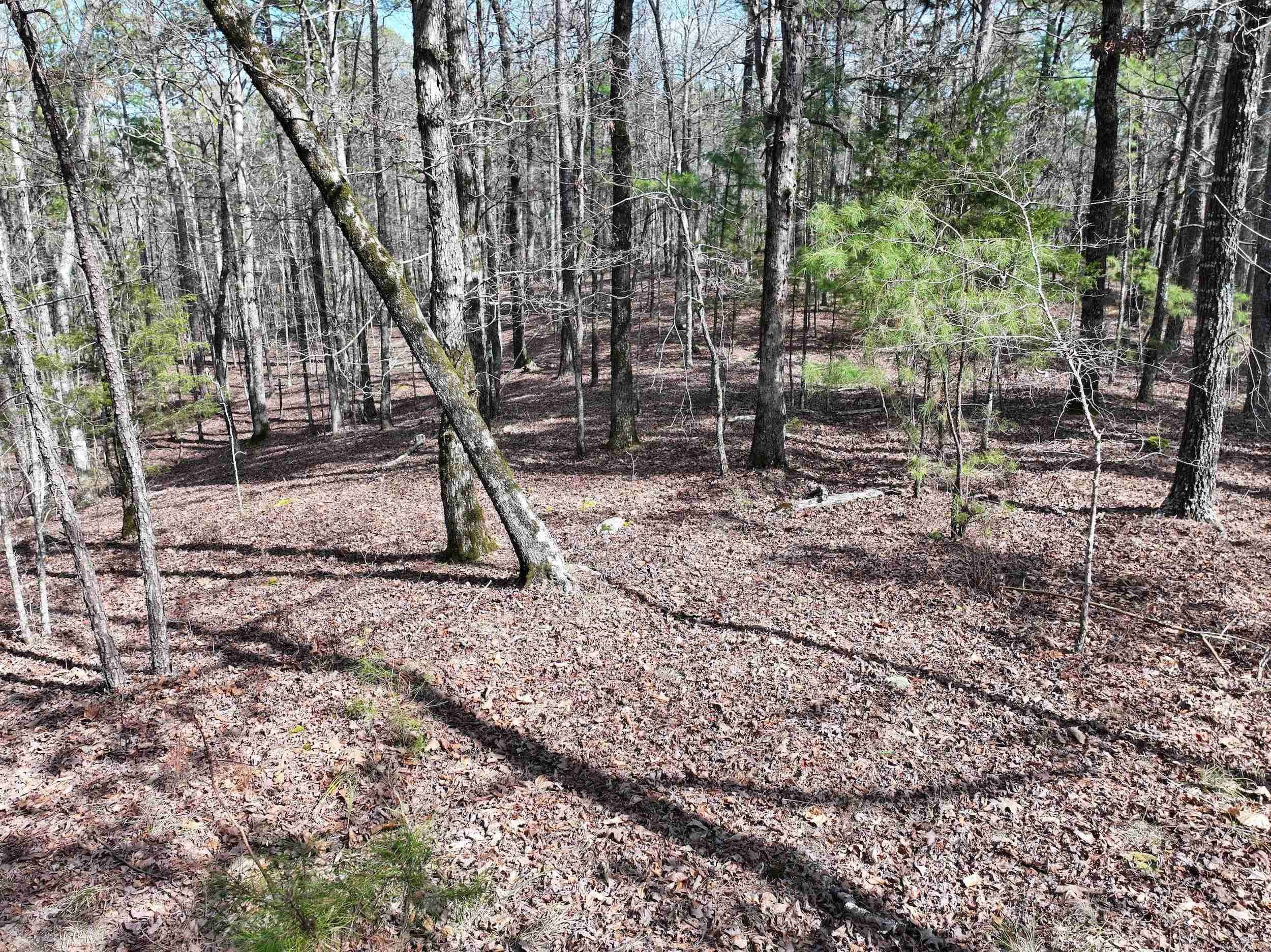 Mount Ida, AR 71957,205 Denby Cove